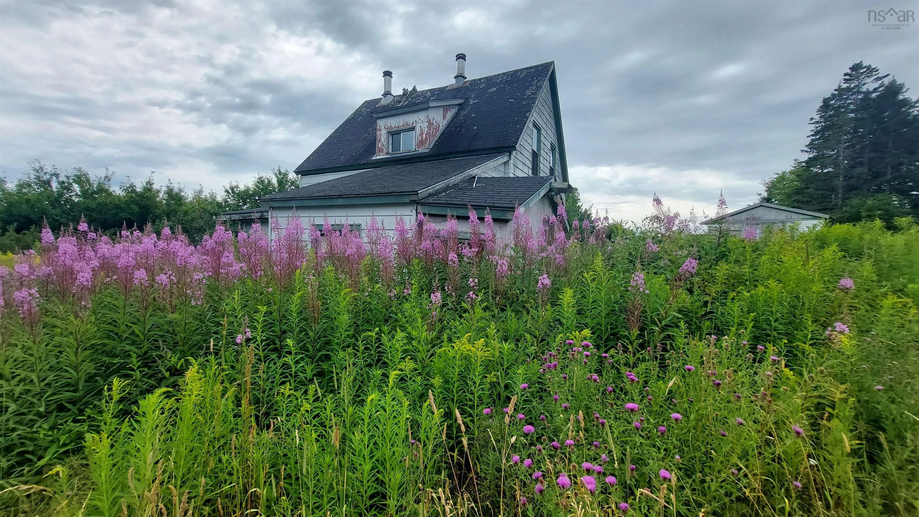 223 Lakeview Dr, Scotsville, NS B0E 3M0, ,Land,For Sale,Lakeview Dr,202518821