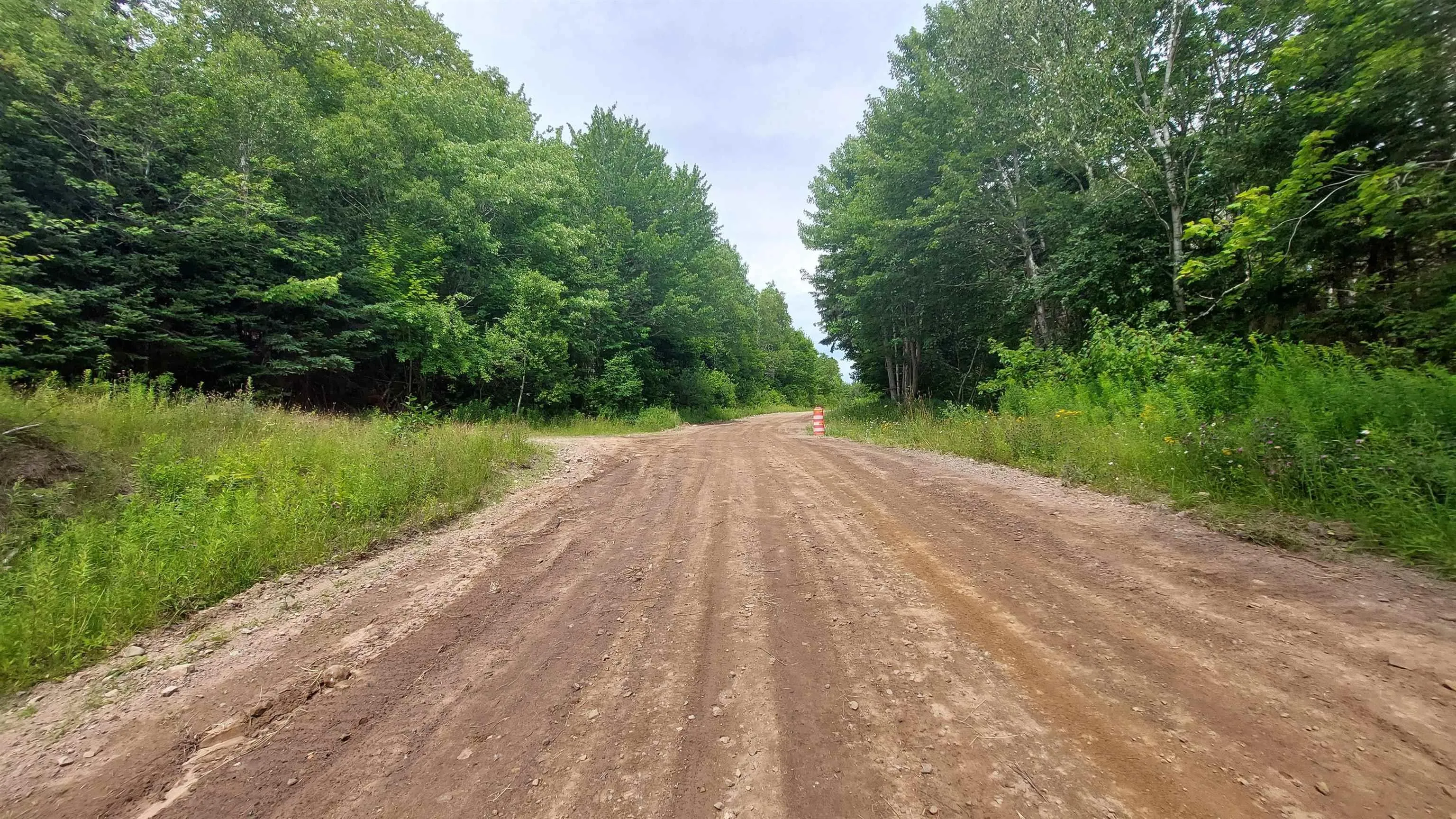 223 Lakeview Dr, Scotsville, NS B0E 3M0, ,Land,For Sale,Lakeview Dr,202518821