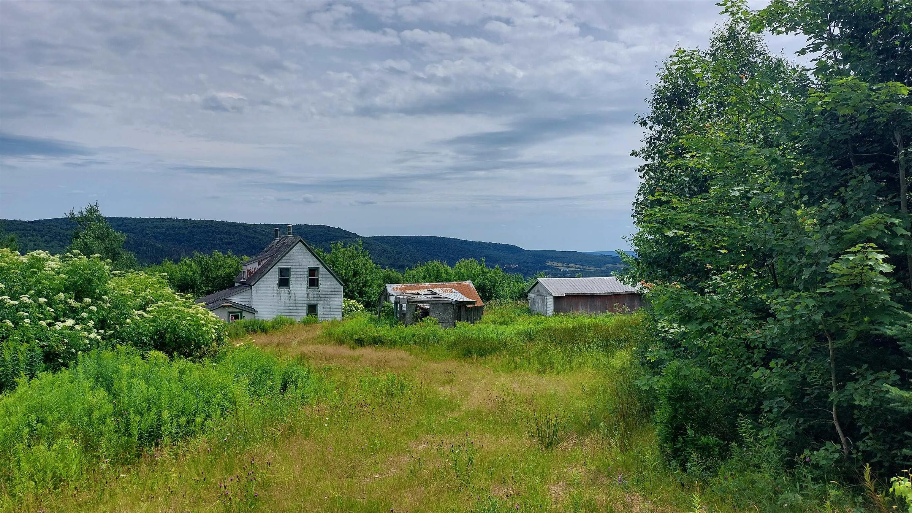 223 Lakeview Dr, Scotsville, NS B0E 3M0, ,Land,For Sale,Lakeview Dr,202518821