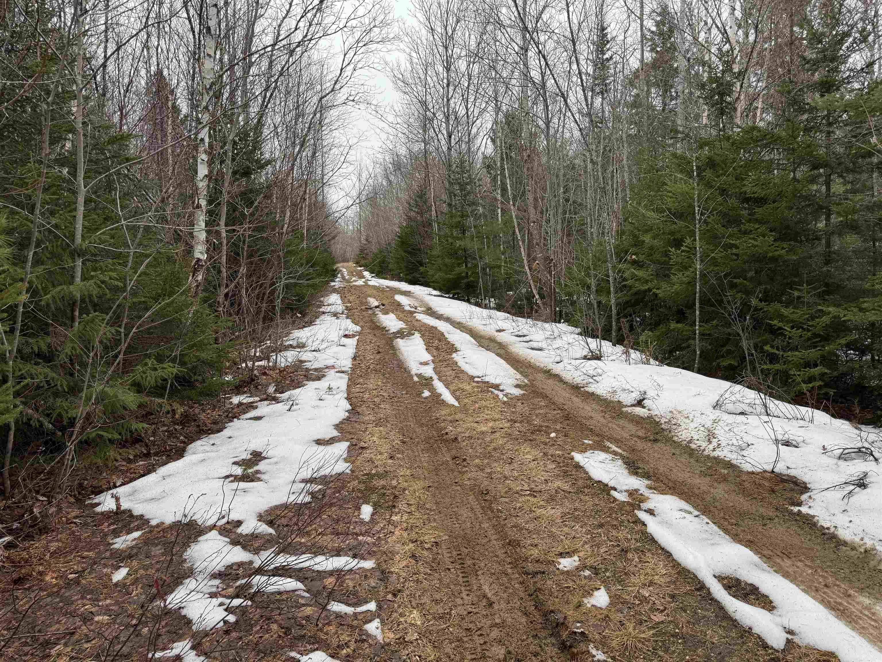 Victory Road, Victory Ns B0s 1b0, ,Land,For Sale,Victory,202506255