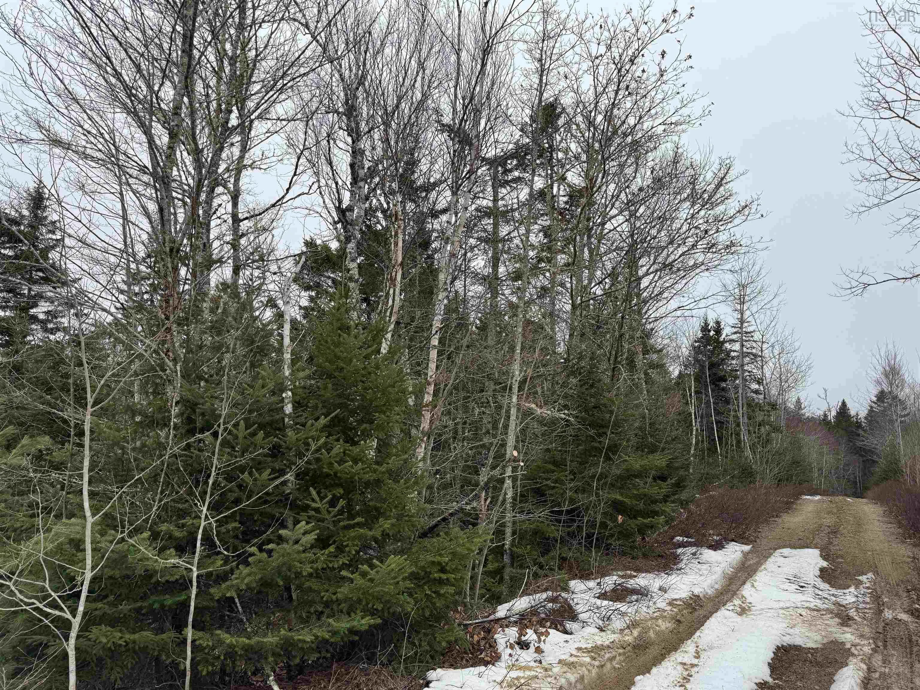 Victory Road, Victory Ns B0s 1b0, ,Land,For Sale,Victory,202506255