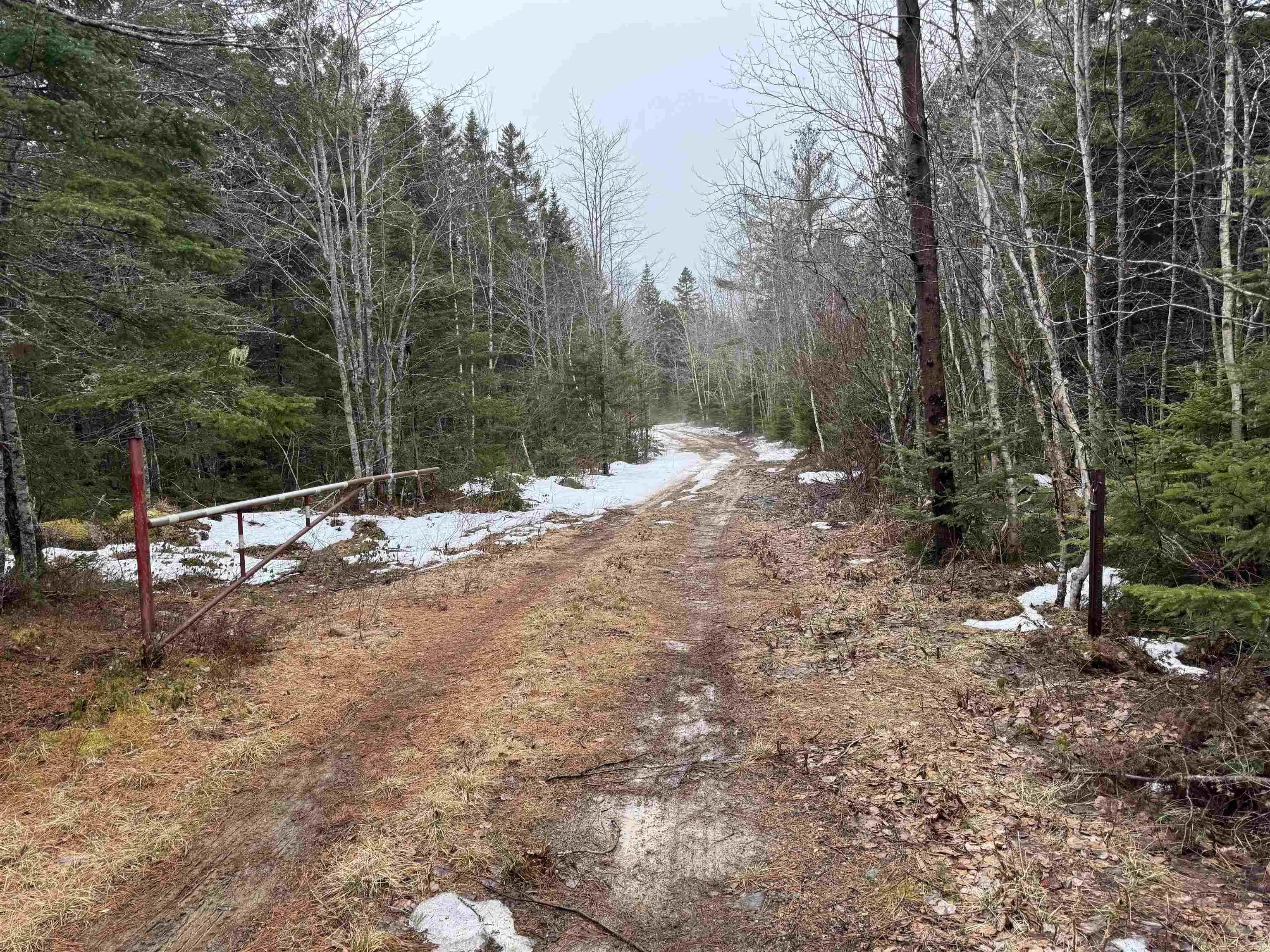 Victory Road, Victory Ns B0s 1b0, ,Land,For Sale,Victory,202506255