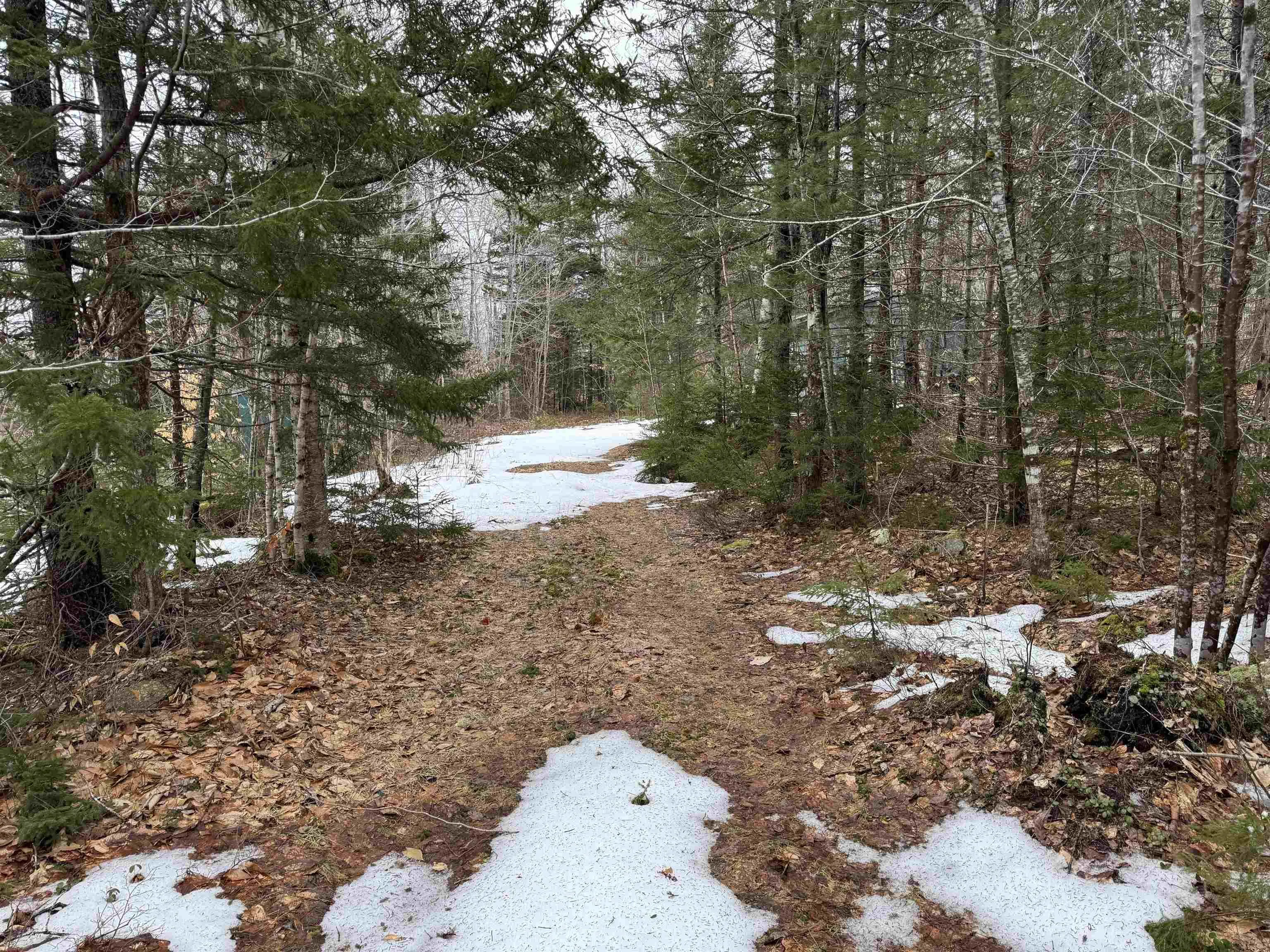 Victory Road, Victory Ns B0s 1b0, ,Land,For Sale,Victory,202506255