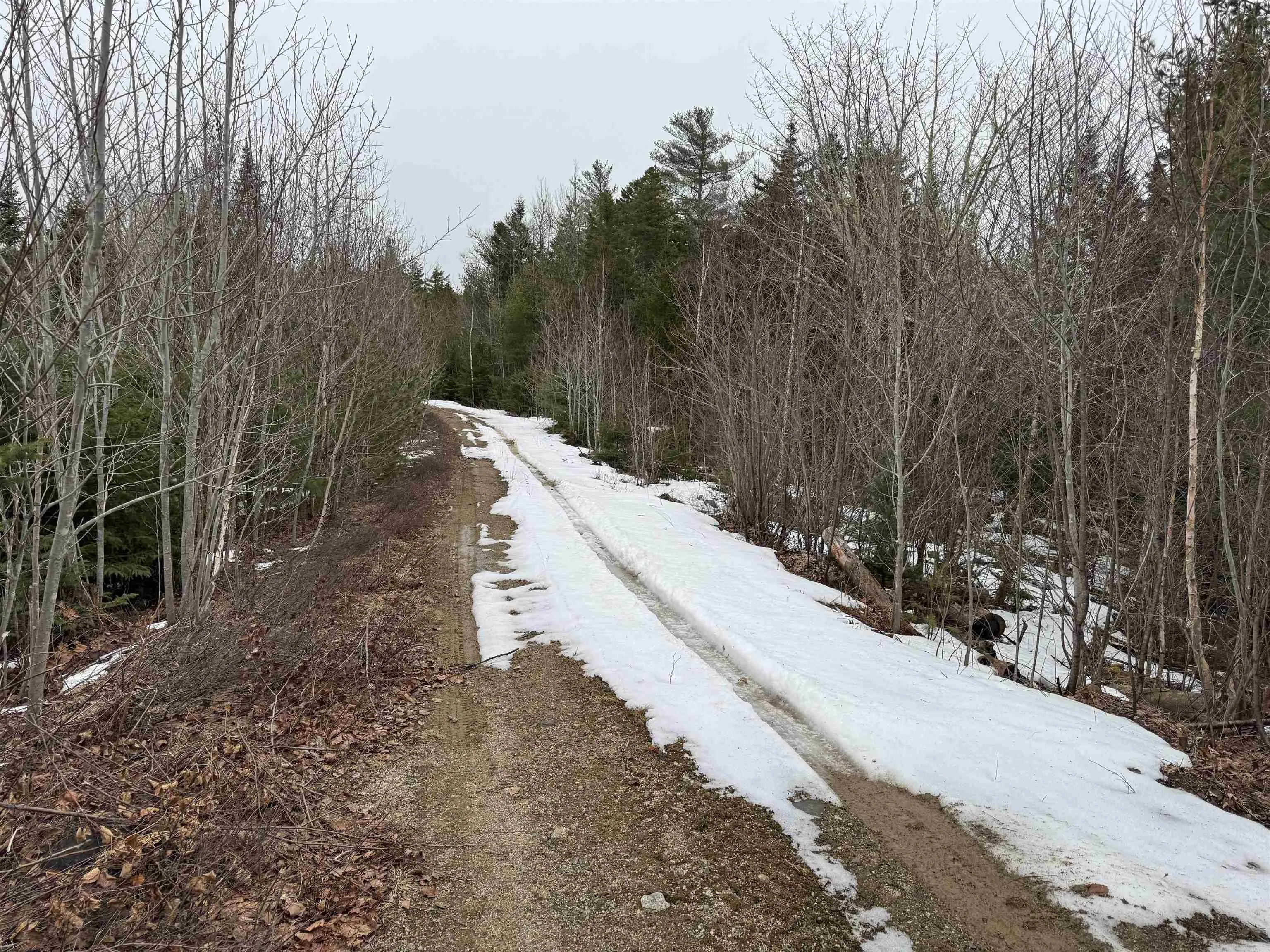 Victory Road, Victory Ns B0s 1b0, ,Land,For Sale,Victory,202506255