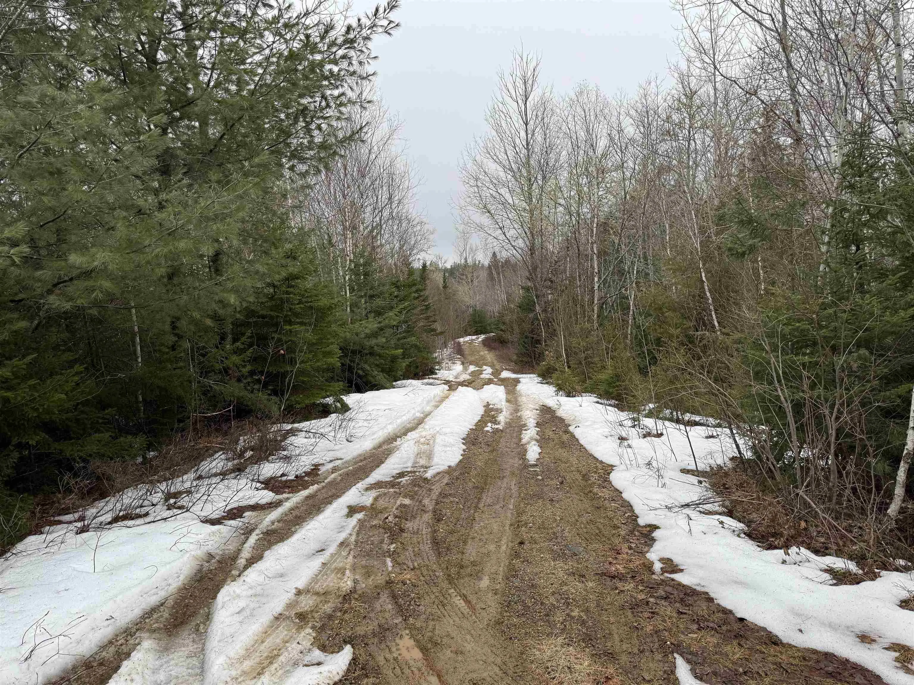 Victory Road, Victory Ns B0s 1b0, ,Land,For Sale,Victory,202506255
