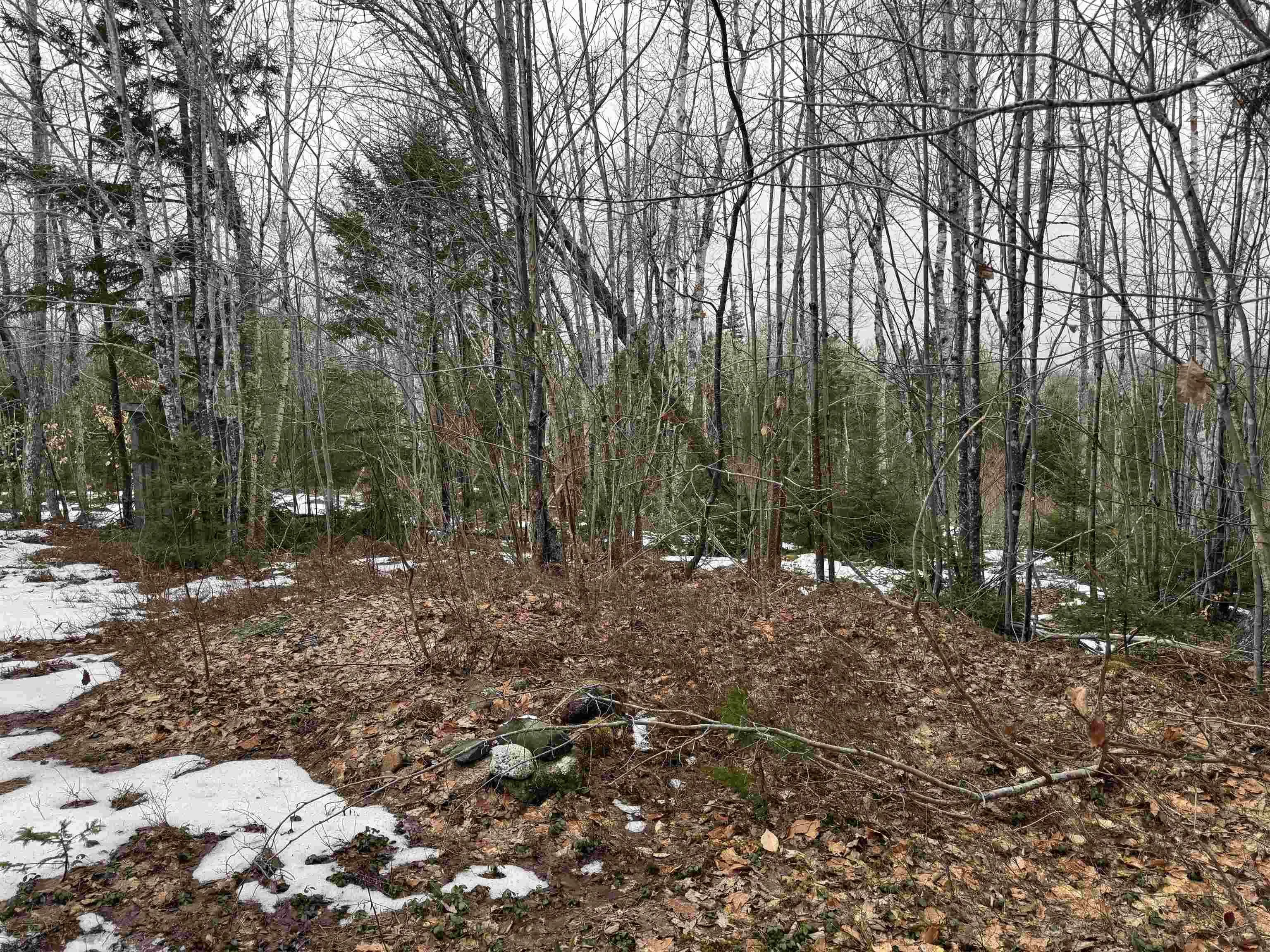 Victory Road, Victory Ns B0s 1b0, ,Land,For Sale,Victory,202506255
