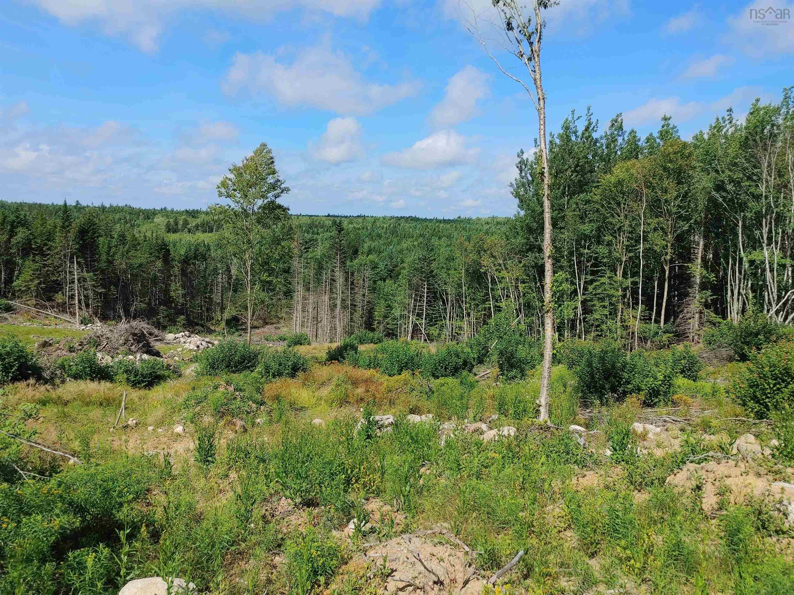 Highway 14, Chester NS X0X 0X0, ,Commercial Sale,For Sale,Highway 14,202220009
