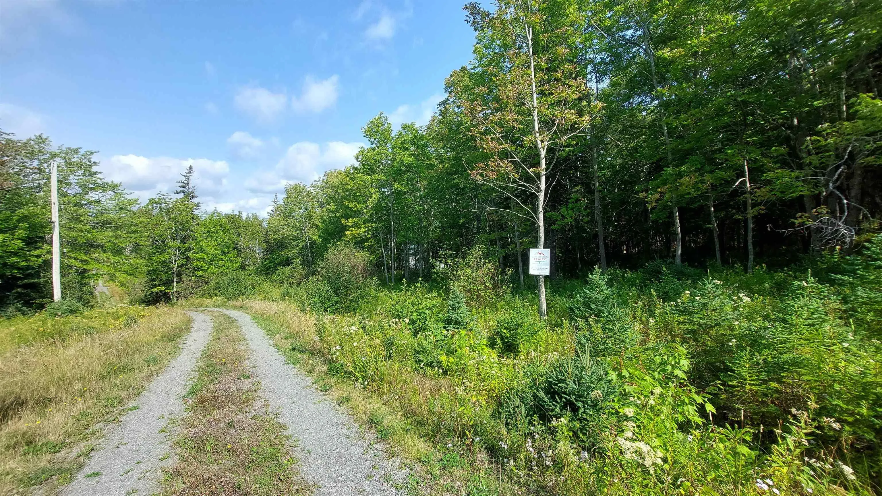 Lot6 Macleods Pond Rd., Roberta Ns B0e 3k0, ,Land,For Sale,Macleods Pond Rd.,202505559