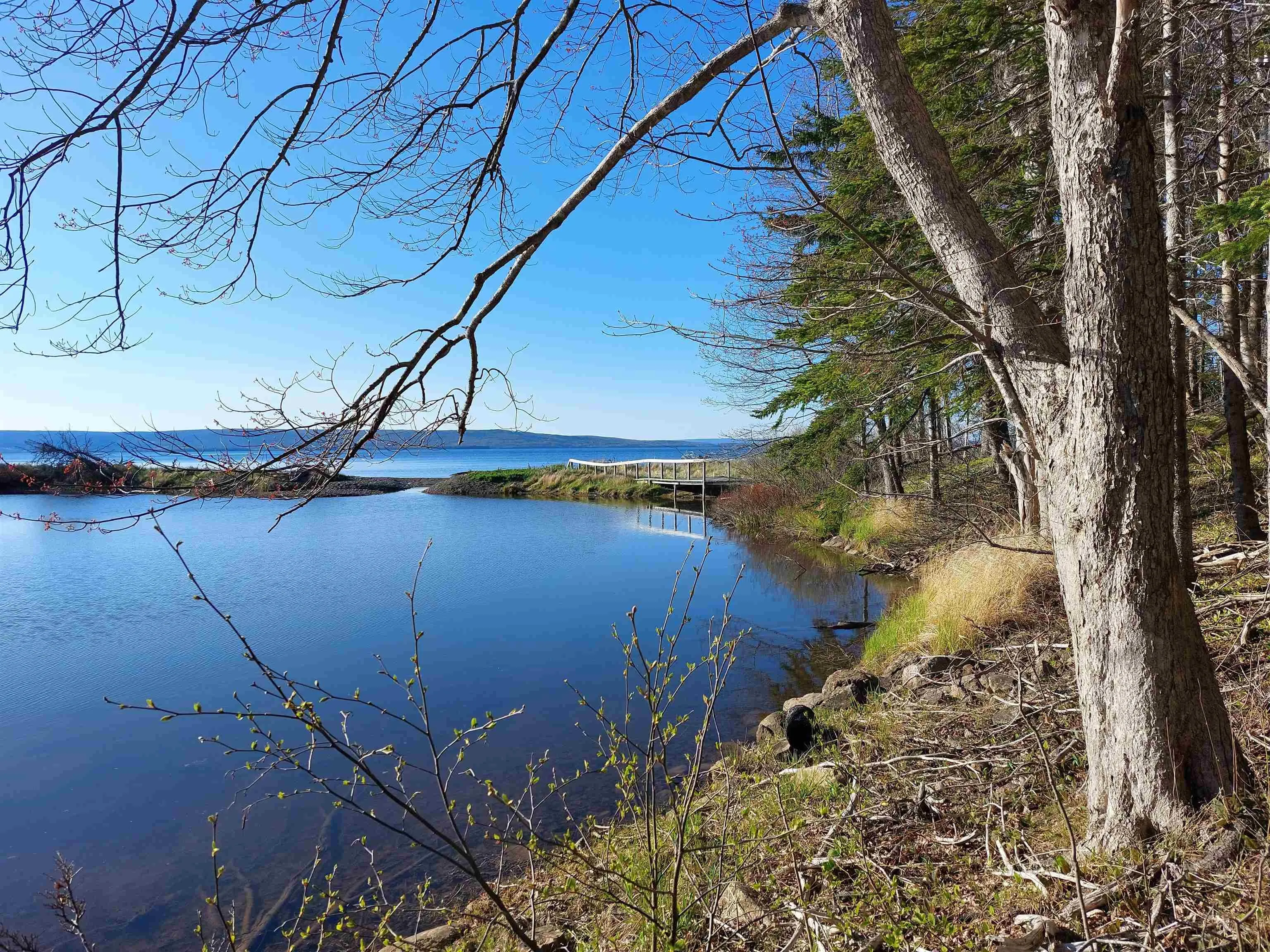 Lot6 Macleods Pond Rd., Roberta Ns B0e 3k0, ,Land,For Sale,Macleods Pond Rd.,202505559