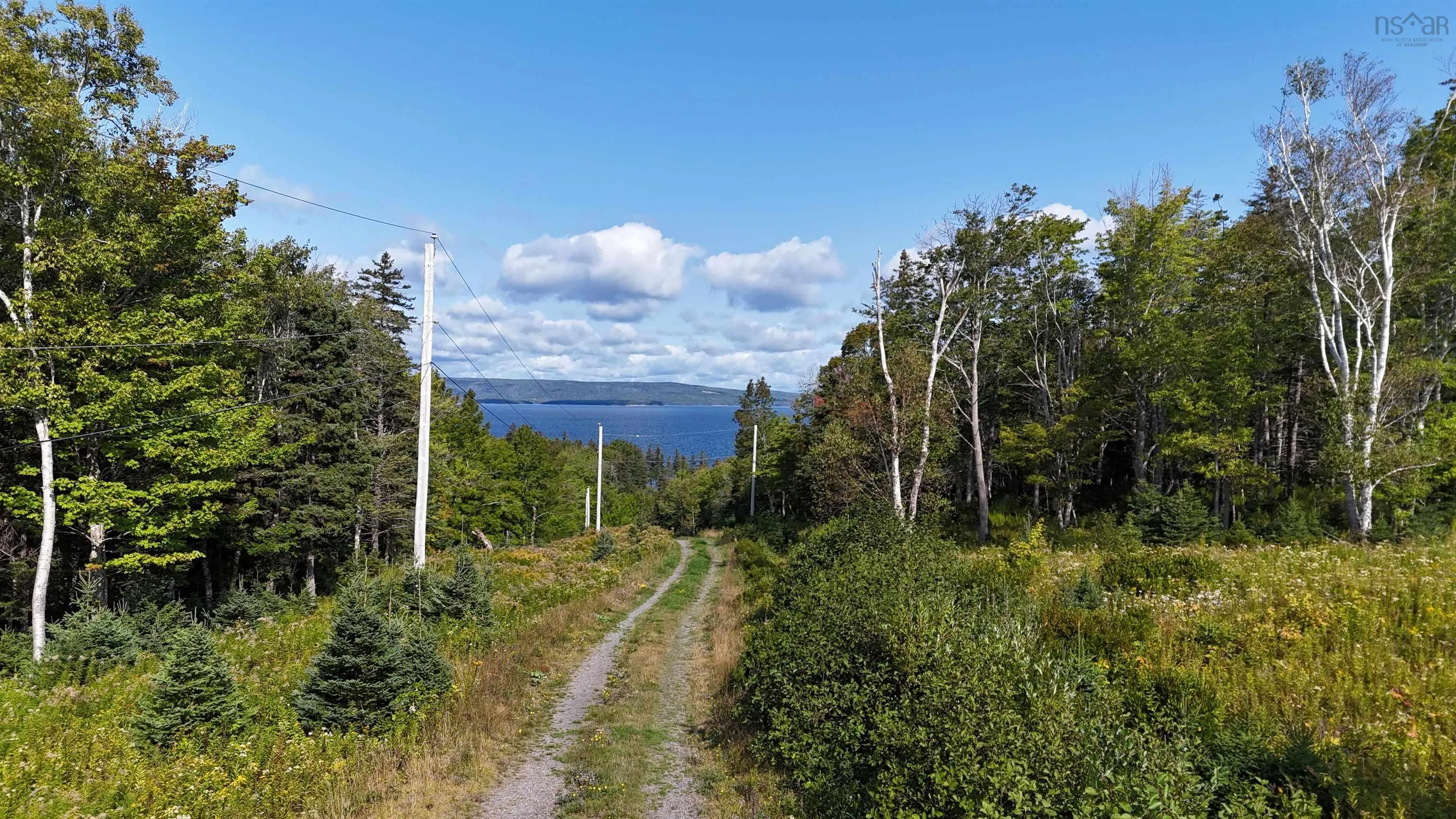 Lot6 Macleods Pond Rd., Roberta Ns B0e 3k0, ,Land,For Sale,Macleods Pond Rd.,202505559