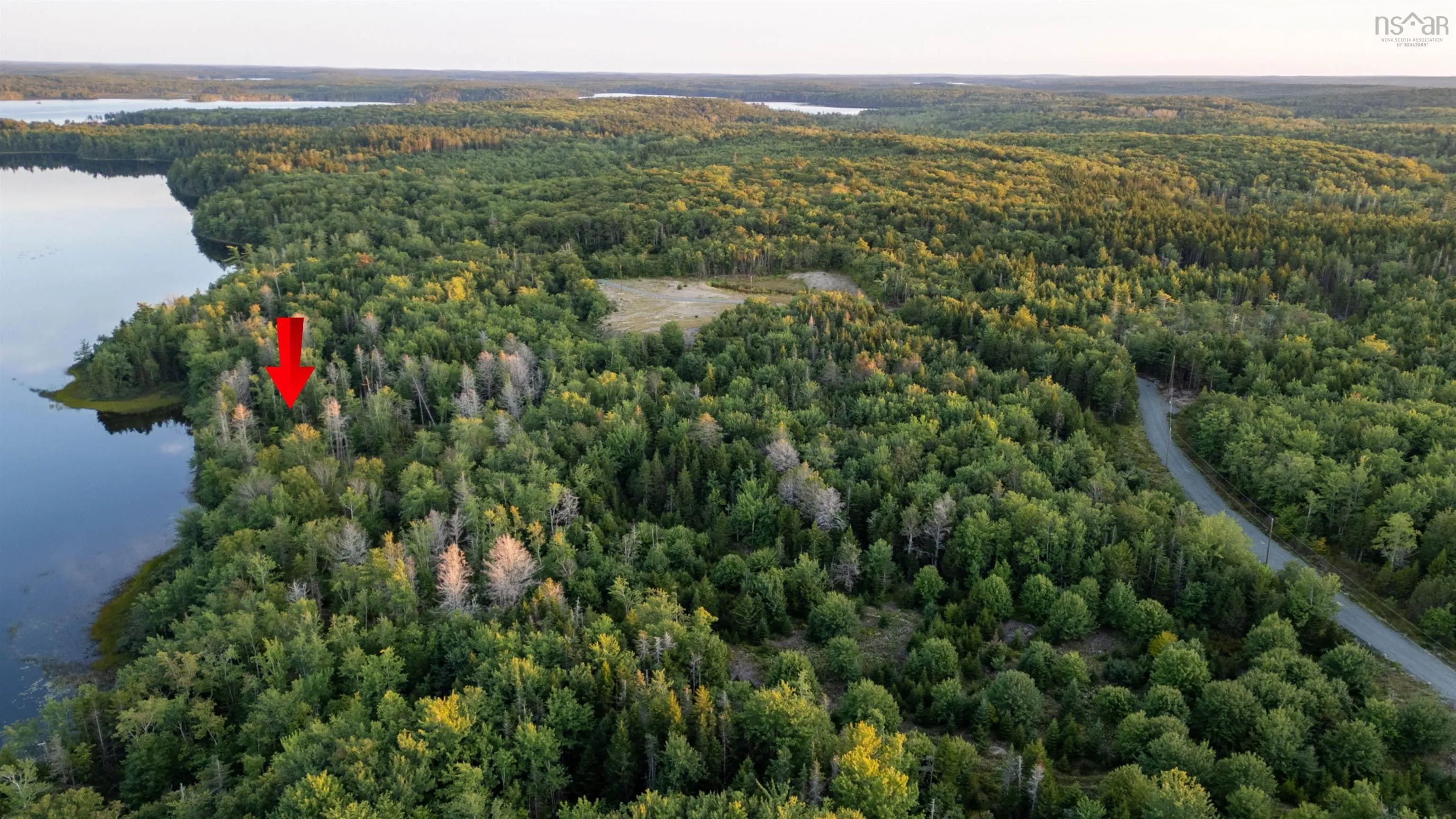 Lot 9 R & N Road, Carleton Ns B5a 5r2, ,Land,For Sale,R & N,202426883