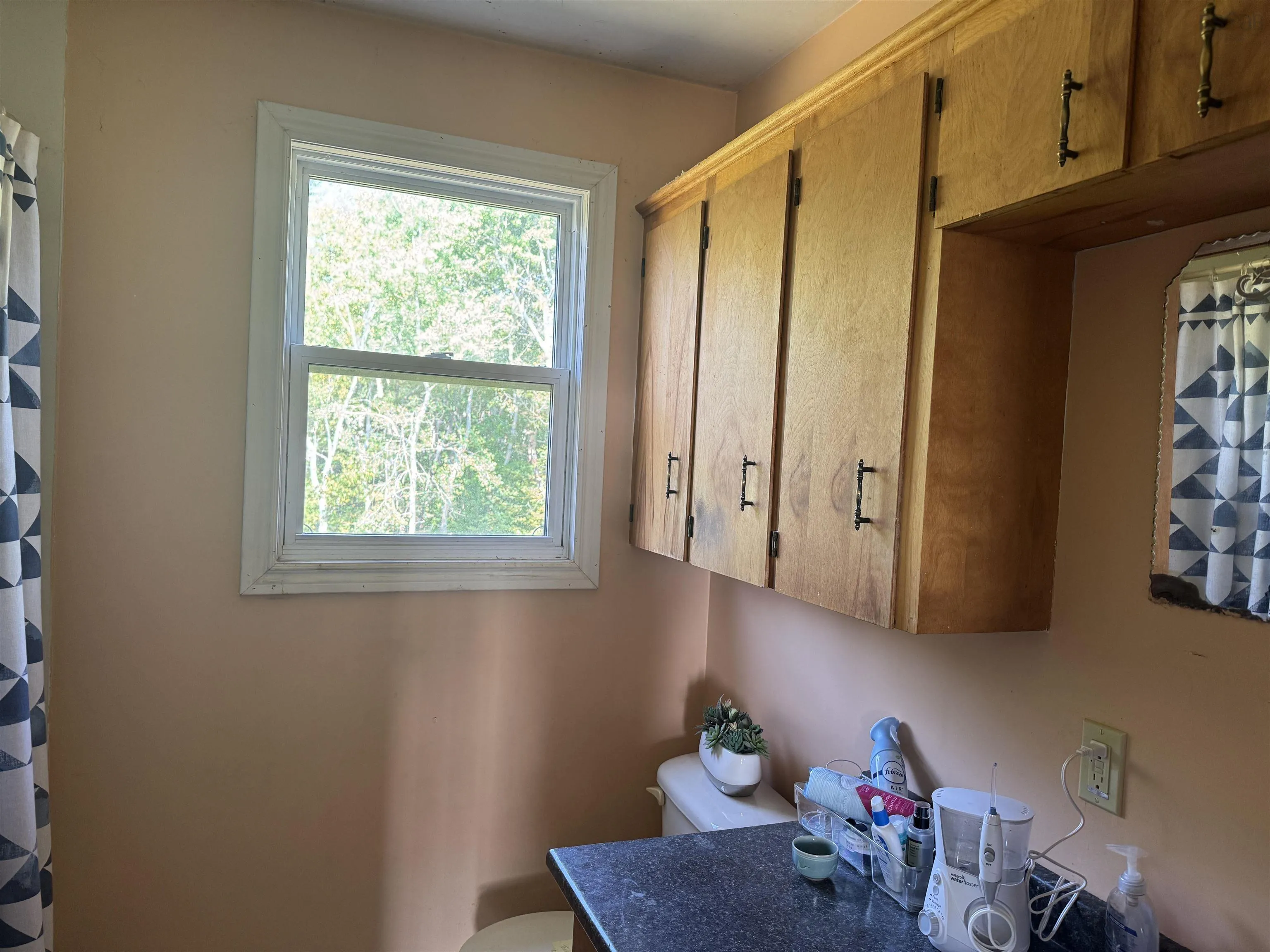 1009 Little Pond Road Road, Little Pond, NS B1Y 1T2, 4 Bedrooms Bedrooms, ,2 BathroomsBathrooms,Residential,For Sale,Little Pond Road,202520374