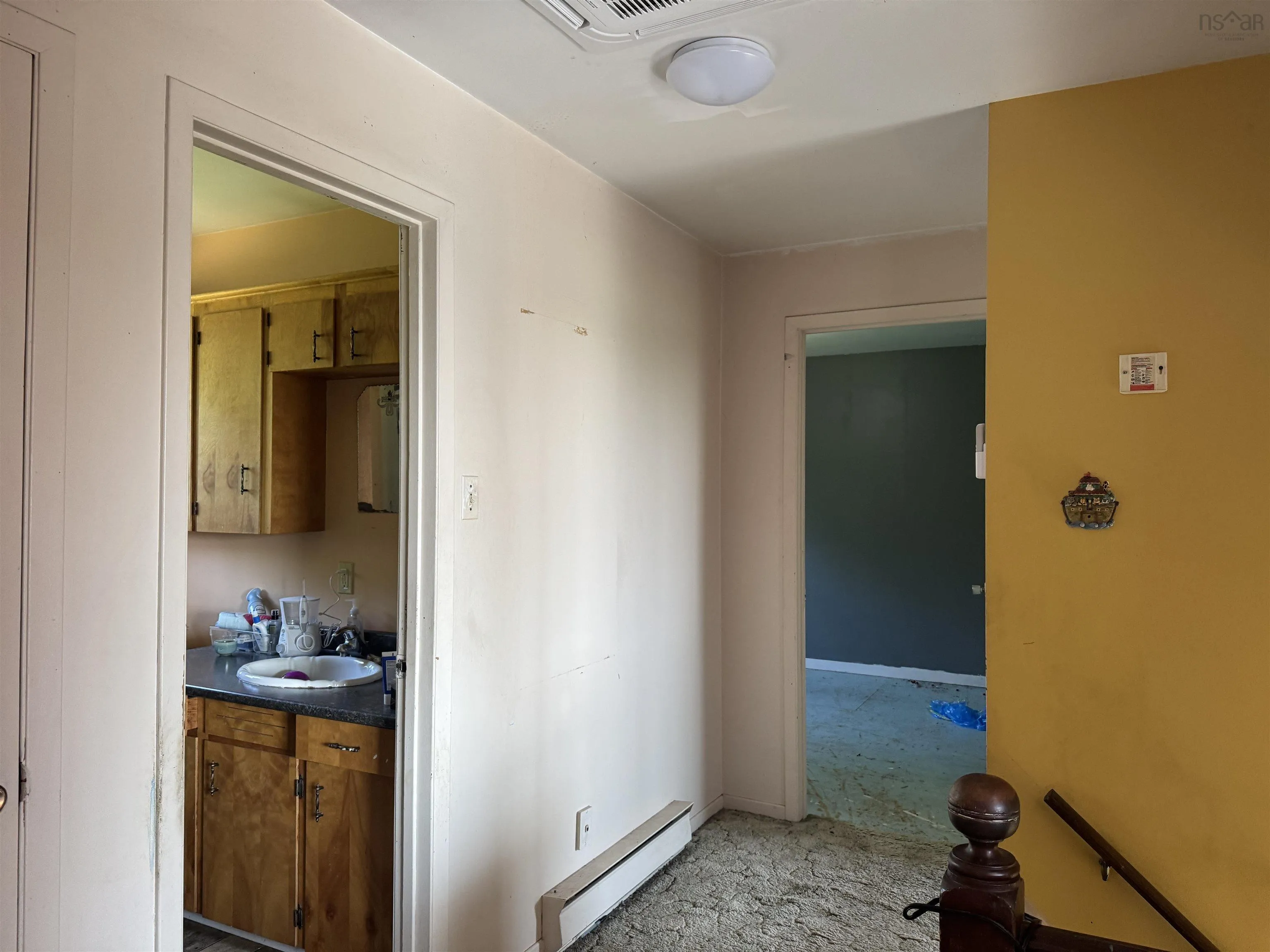 1009 Little Pond Road Road, Little Pond, NS B1Y 1T2, 4 Bedrooms Bedrooms, ,2 BathroomsBathrooms,Residential,For Sale,Little Pond Road,202520374