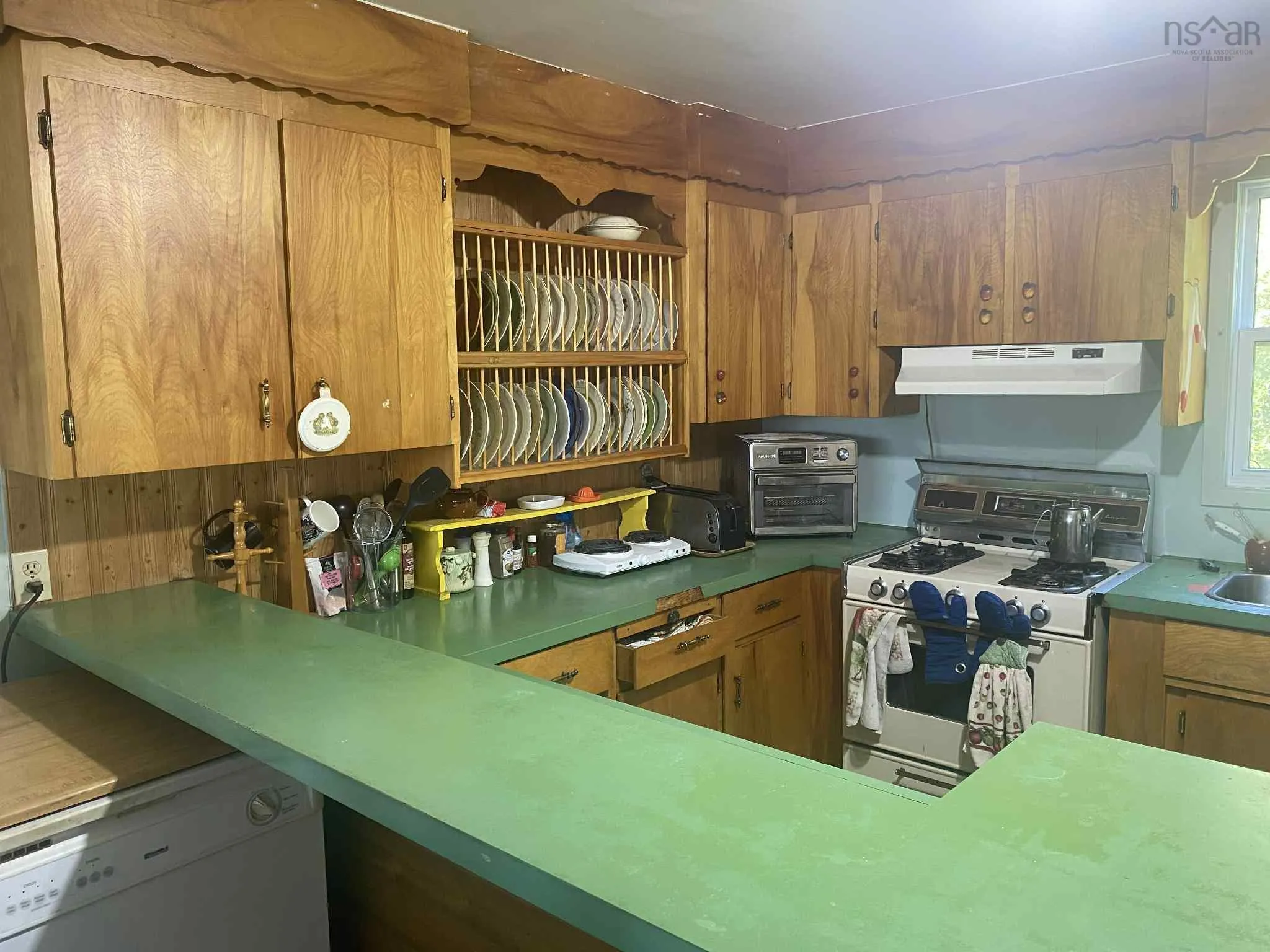 1009 Little Pond Road Road, Little Pond, NS B1Y 1T2, 4 Bedrooms Bedrooms, ,2 BathroomsBathrooms,Residential,For Sale,Little Pond Road,202520374