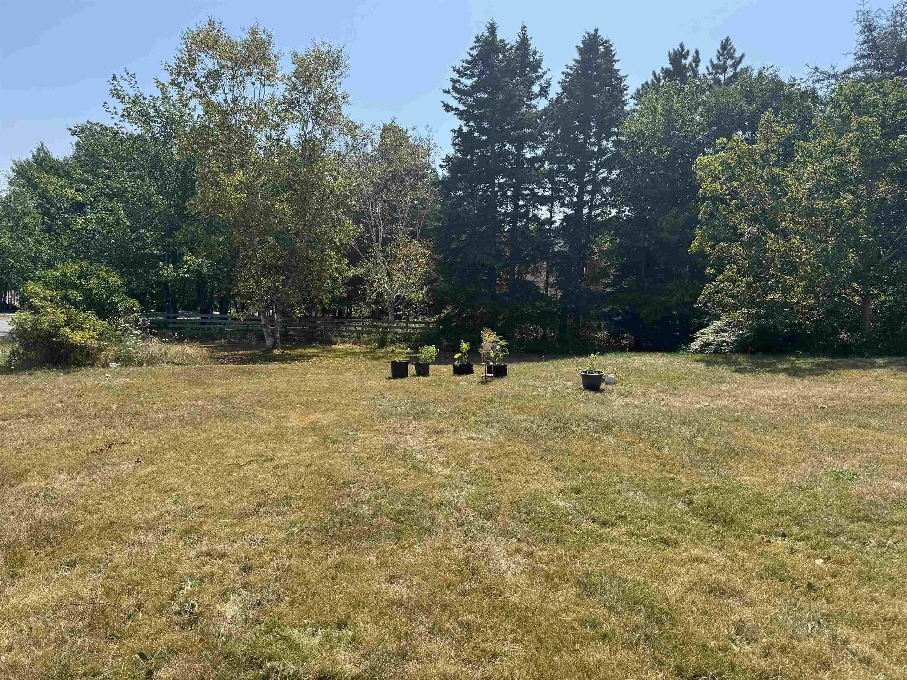 1009 Little Pond Road Road, Little Pond, NS B1Y 1T2, 4 Bedrooms Bedrooms, ,2 BathroomsBathrooms,Residential,For Sale,Little Pond Road,202520374