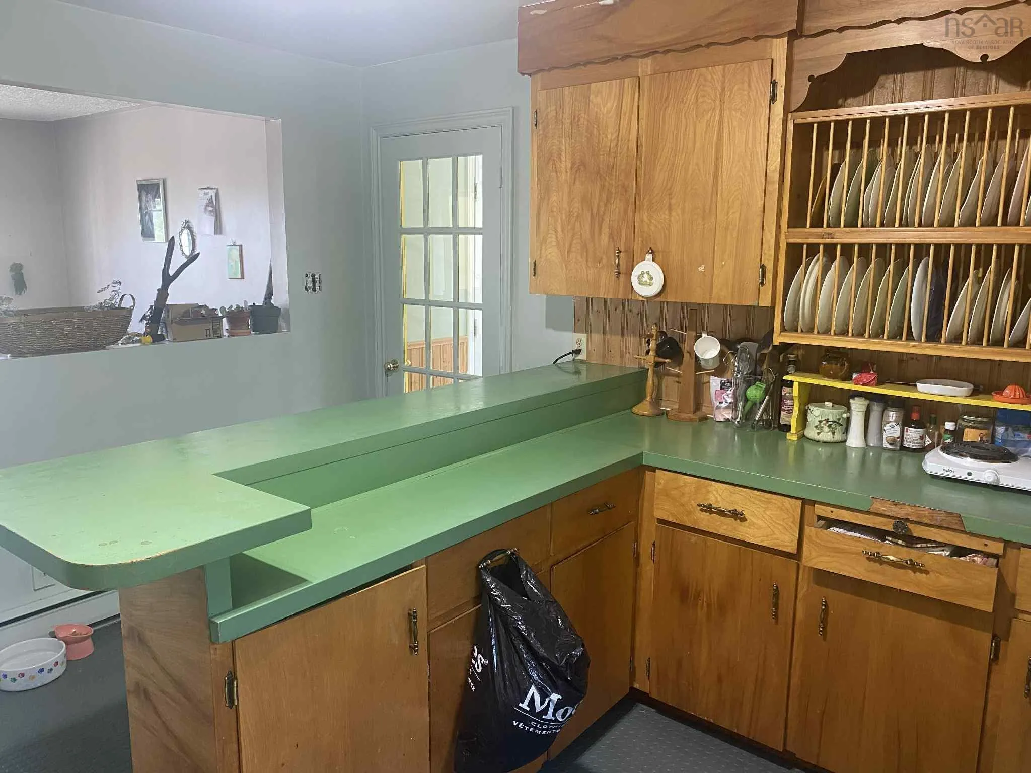 1009 Little Pond Road Road, Little Pond, NS B1Y 1T2, 4 Bedrooms Bedrooms, ,2 BathroomsBathrooms,Residential,For Sale,Little Pond Road,202520374