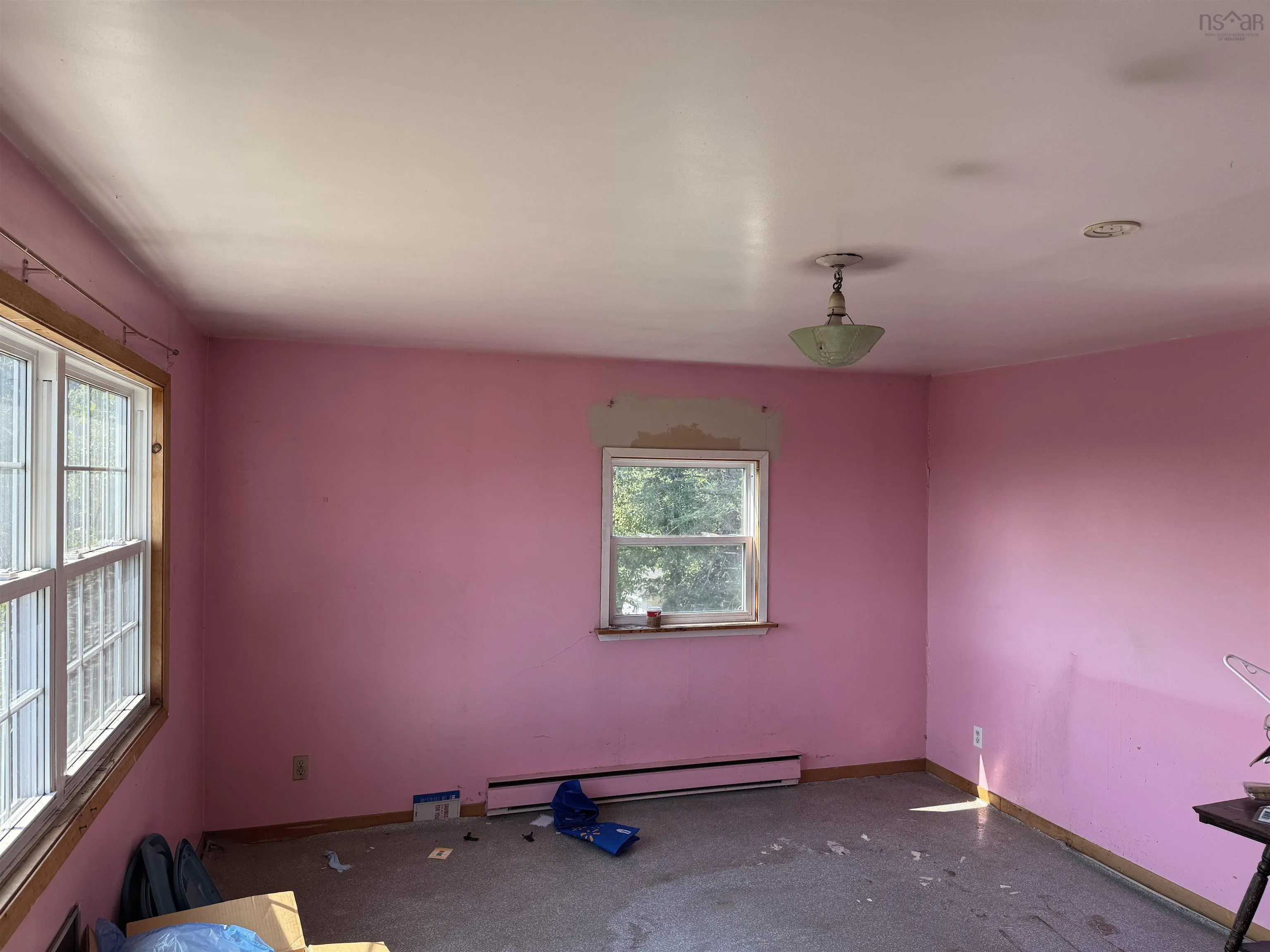 1009 Little Pond Road Road, Little Pond, NS B1Y 1T2, 4 Bedrooms Bedrooms, ,2 BathroomsBathrooms,Residential,For Sale,Little Pond Road,202520374