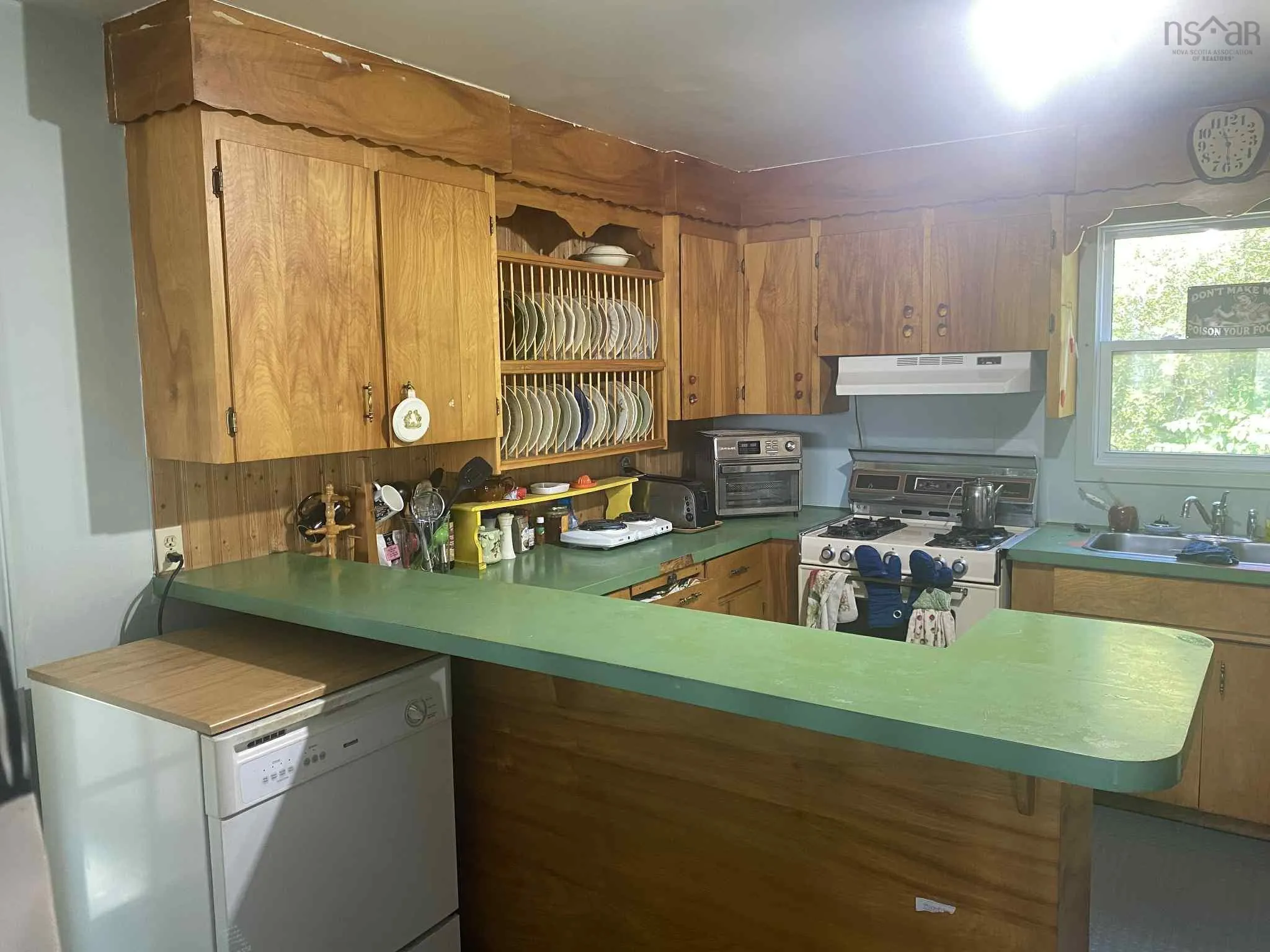 1009 Little Pond Road Road, Little Pond, NS B1Y 1T2, 4 Bedrooms Bedrooms, ,2 BathroomsBathrooms,Residential,For Sale,Little Pond Road,202520374