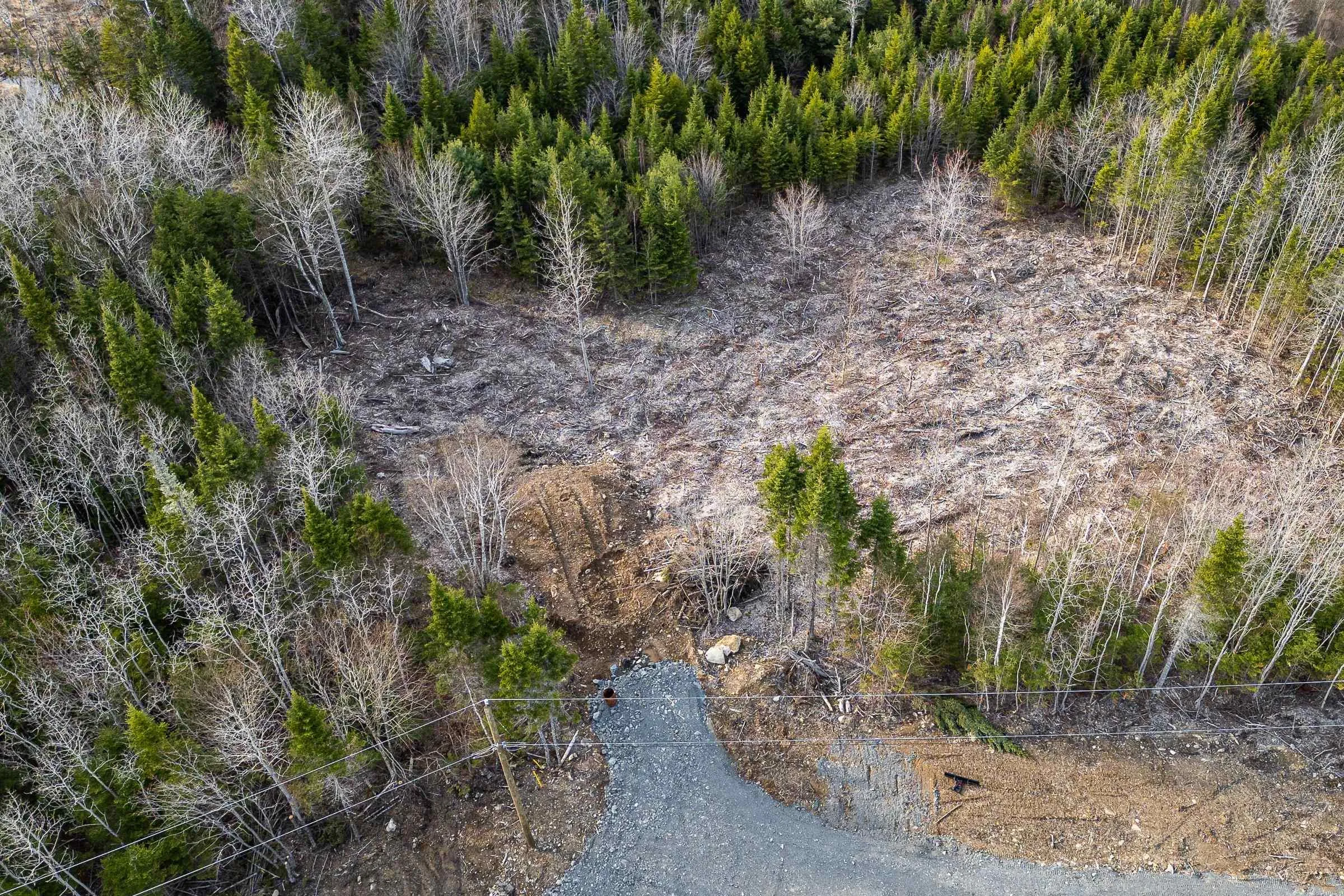 Lot 25-2 Bretton Woods Road, Hillsvale Ns B0n 1z0, ,Land,For Sale,Bretton Woods,202510181
