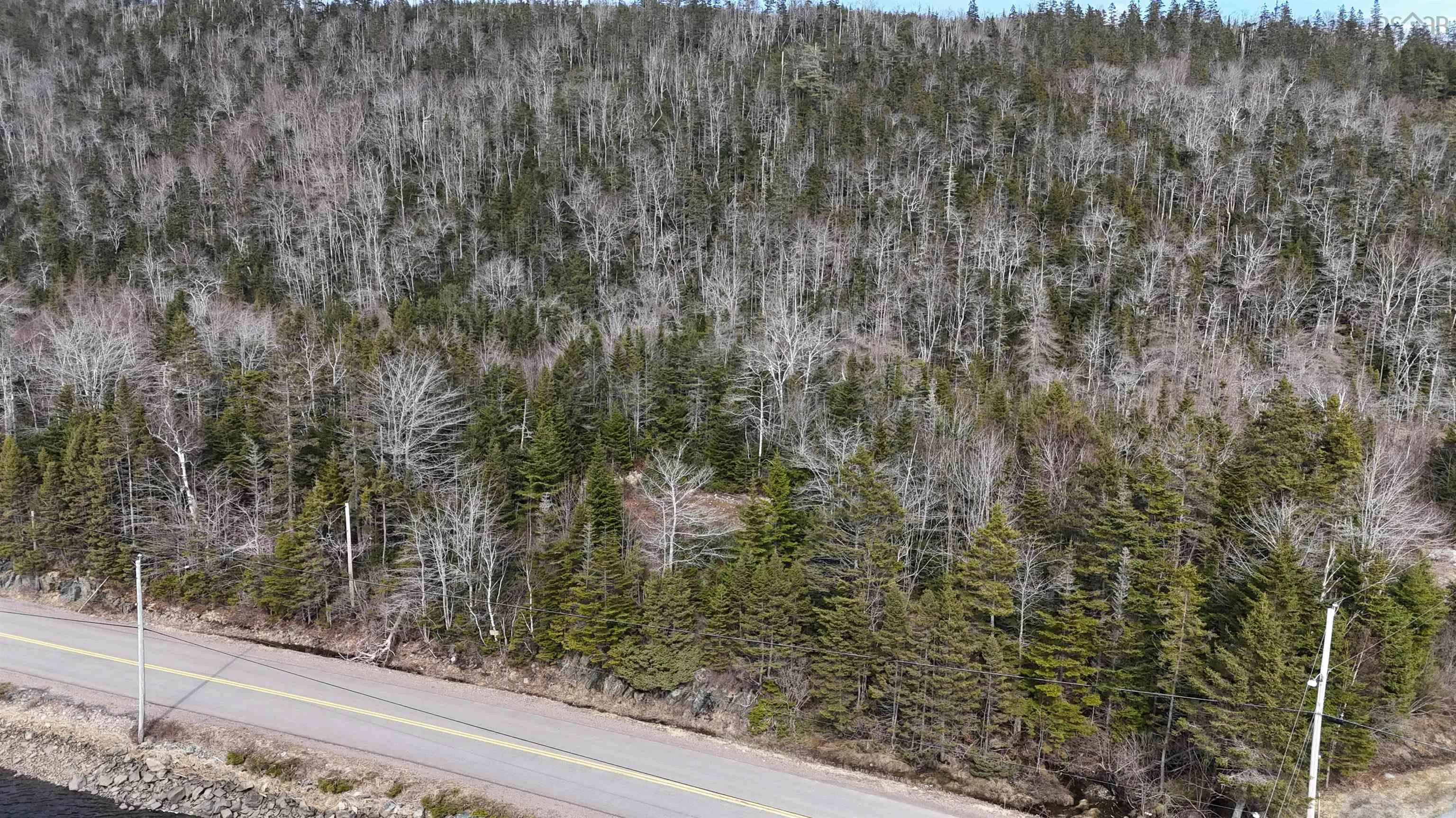 Sonora Road, Sonora Ns B0j 3c0, ,Land,For Sale,Sonora,202506038