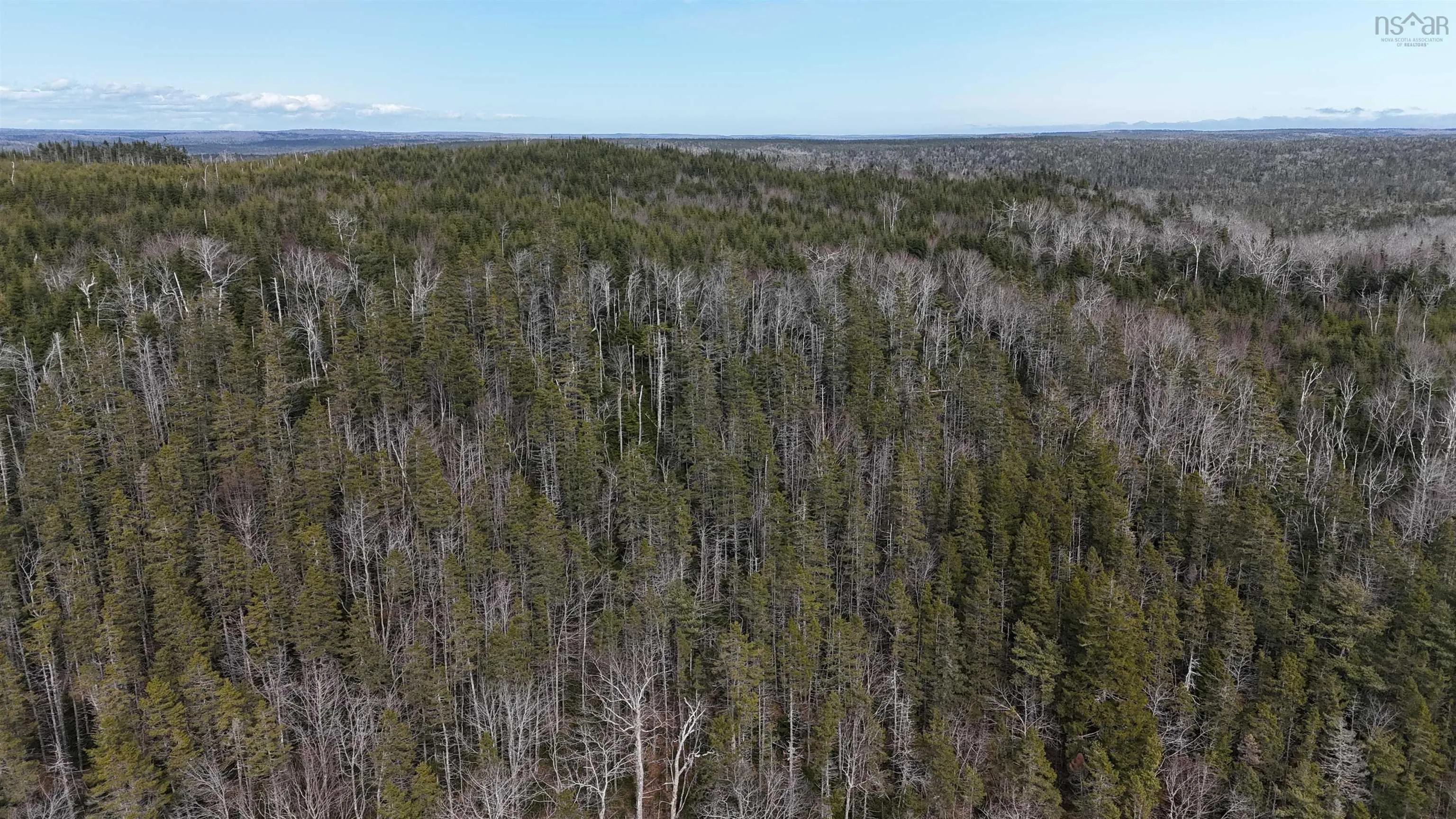Sonora Road, Sonora Ns B0j 3c0, ,Land,For Sale,Sonora,202506038