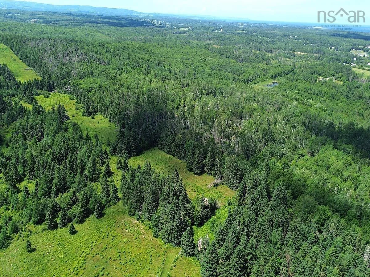 172 Melanson Road, Pomquet Ns B2g 2l4, 4 Bedrooms Bedrooms, ,3 BathroomsBathrooms,Farm,For Sale,Melanson,202502005