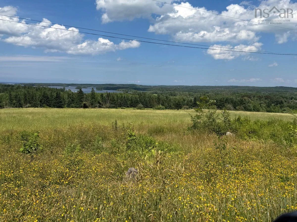 172 Melanson Road, Pomquet Ns B2g 2l4, 4 Bedrooms Bedrooms, ,3 BathroomsBathrooms,Farm,For Sale,Melanson,202502005