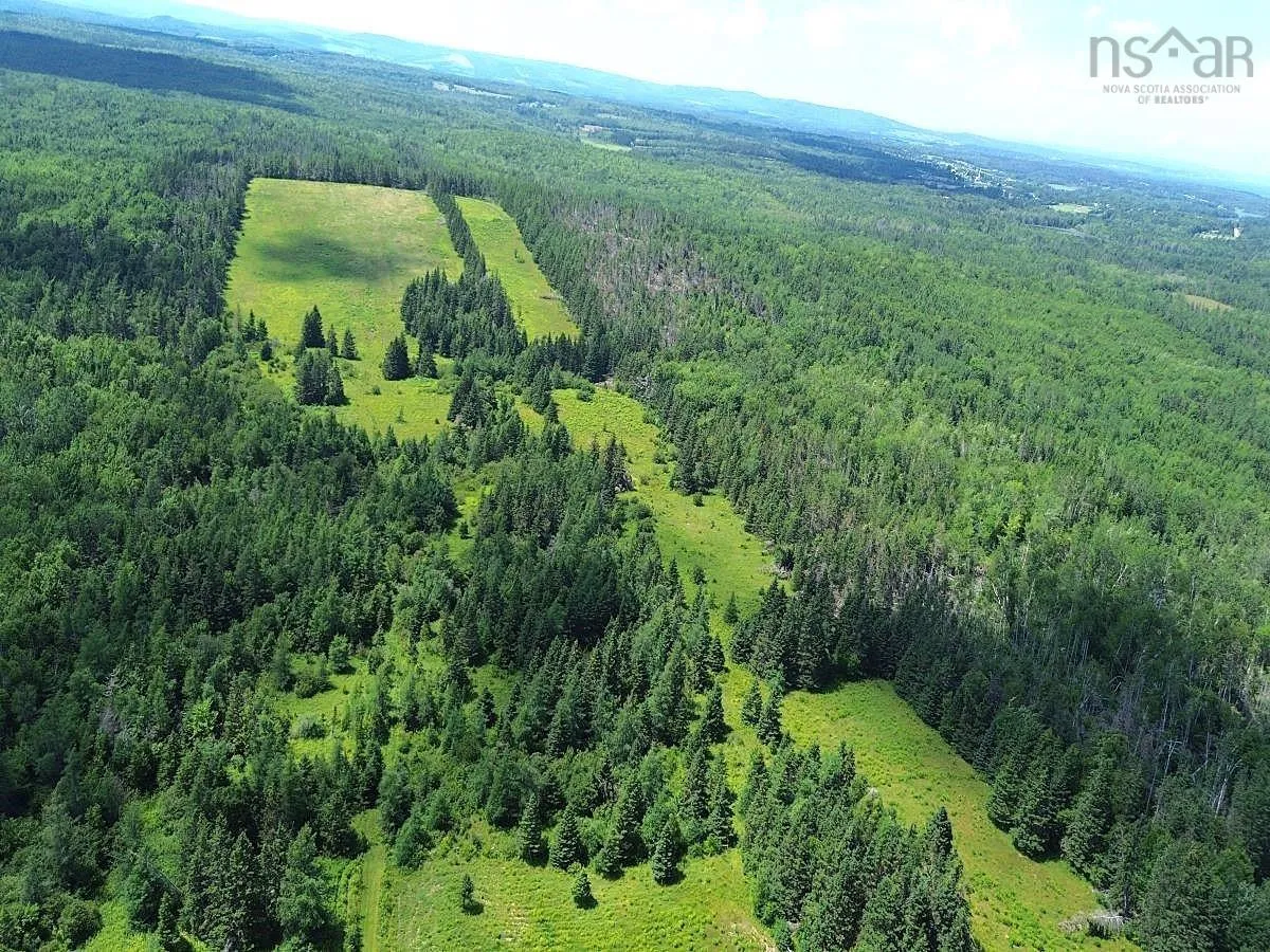 172 Melanson Road, Pomquet Ns B2g 2l4, 4 Bedrooms Bedrooms, ,3 BathroomsBathrooms,Farm,For Sale,Melanson,202502005