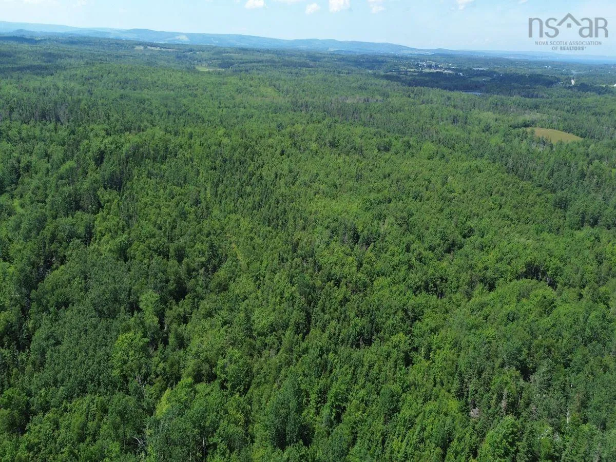 172 Melanson Road, Pomquet Ns B2g 2l4, 4 Bedrooms Bedrooms, ,3 BathroomsBathrooms,Farm,For Sale,Melanson,202502005
