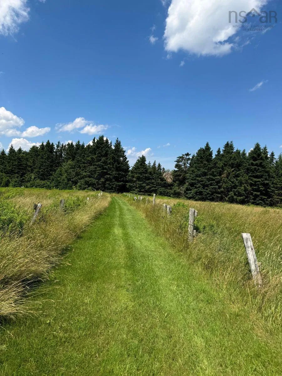 172 Melanson Road, Pomquet Ns B2g 2l4, 4 Bedrooms Bedrooms, ,3 BathroomsBathrooms,Farm,For Sale,Melanson,202502005