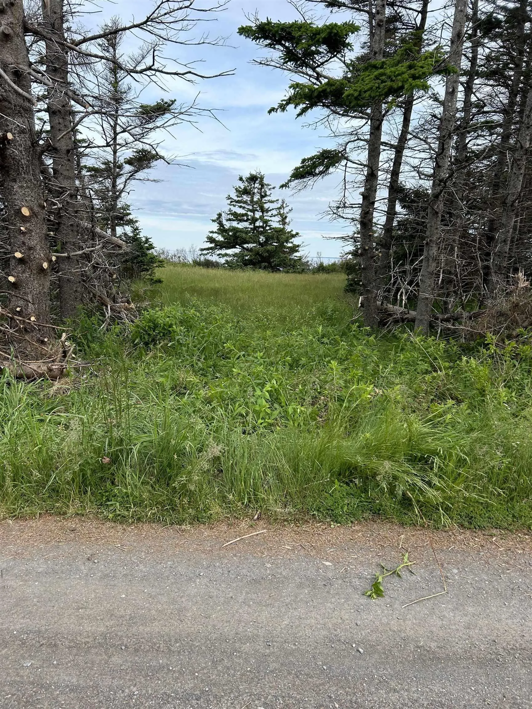 Lot Roys Island, Kings Head, NS B2H 5C5, ,Land,For Sale,Roys,202513542