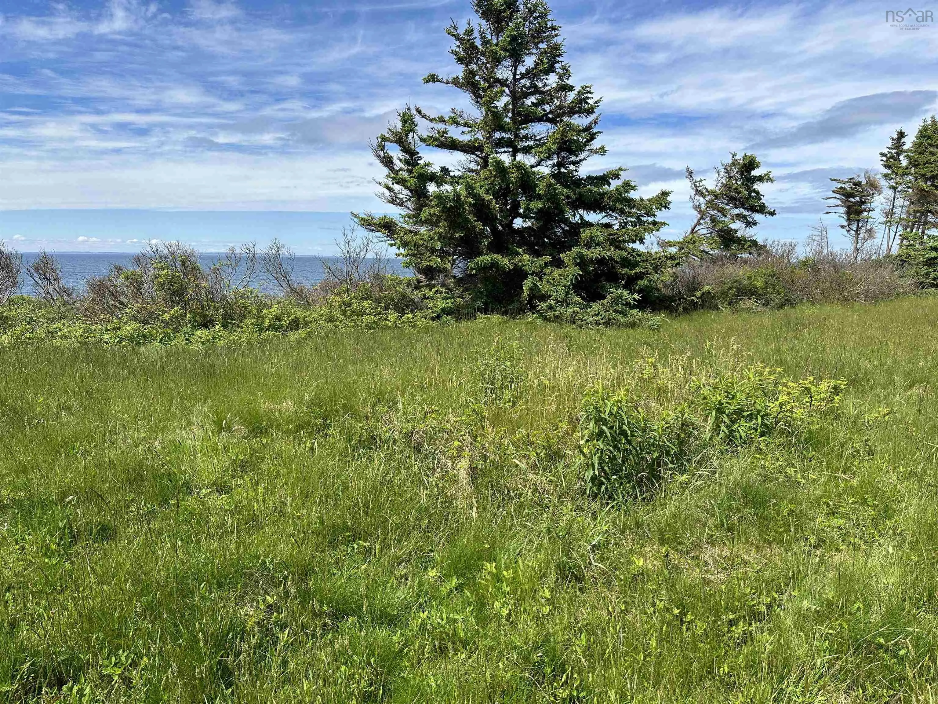 Lot Roys Island, Kings Head, NS B2H 5C5, ,Land,For Sale,Roys,202513542