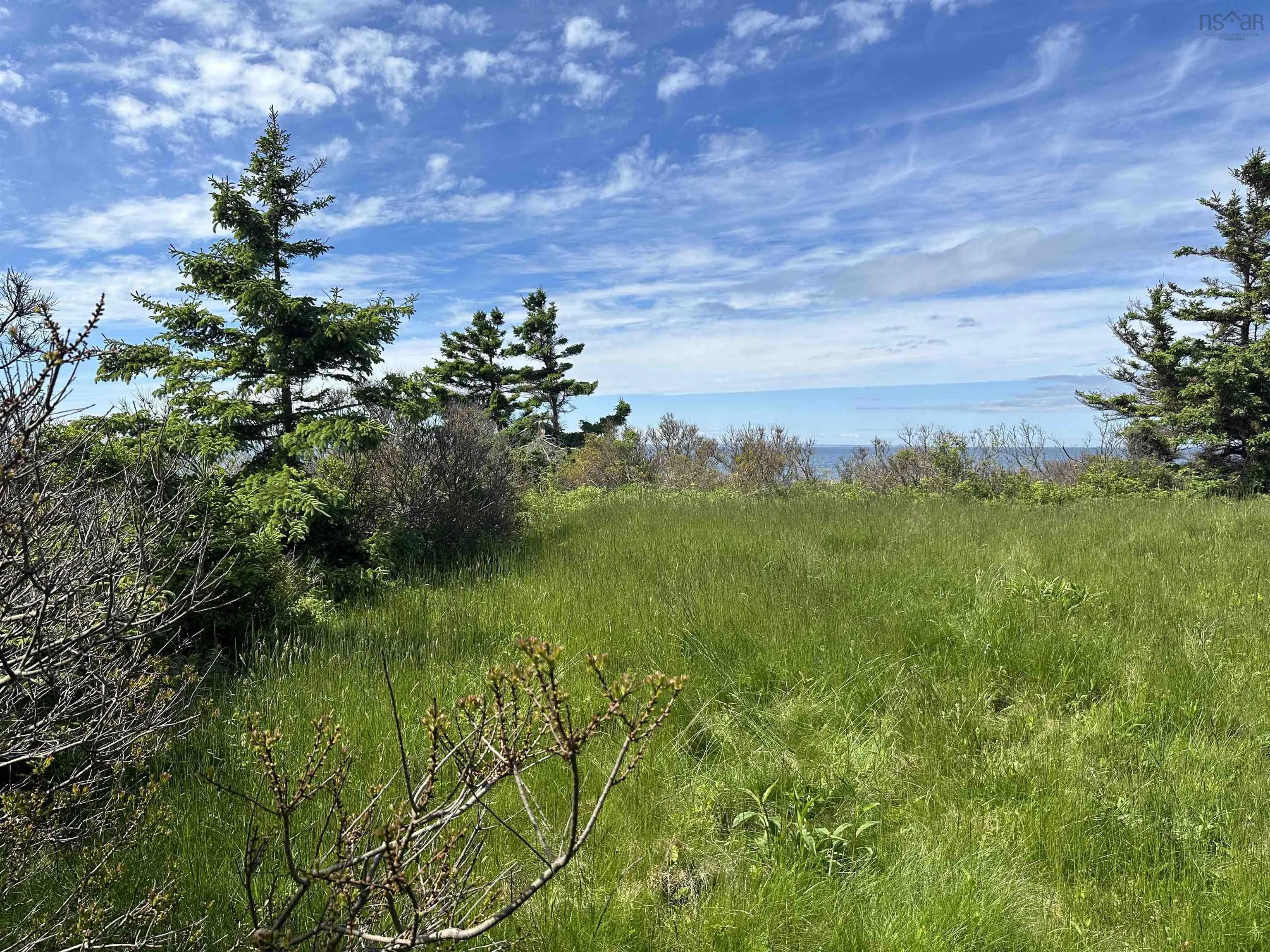 Lot Roys Island, Kings Head, NS B2H 5C5, ,Land,For Sale,Roys,202513542