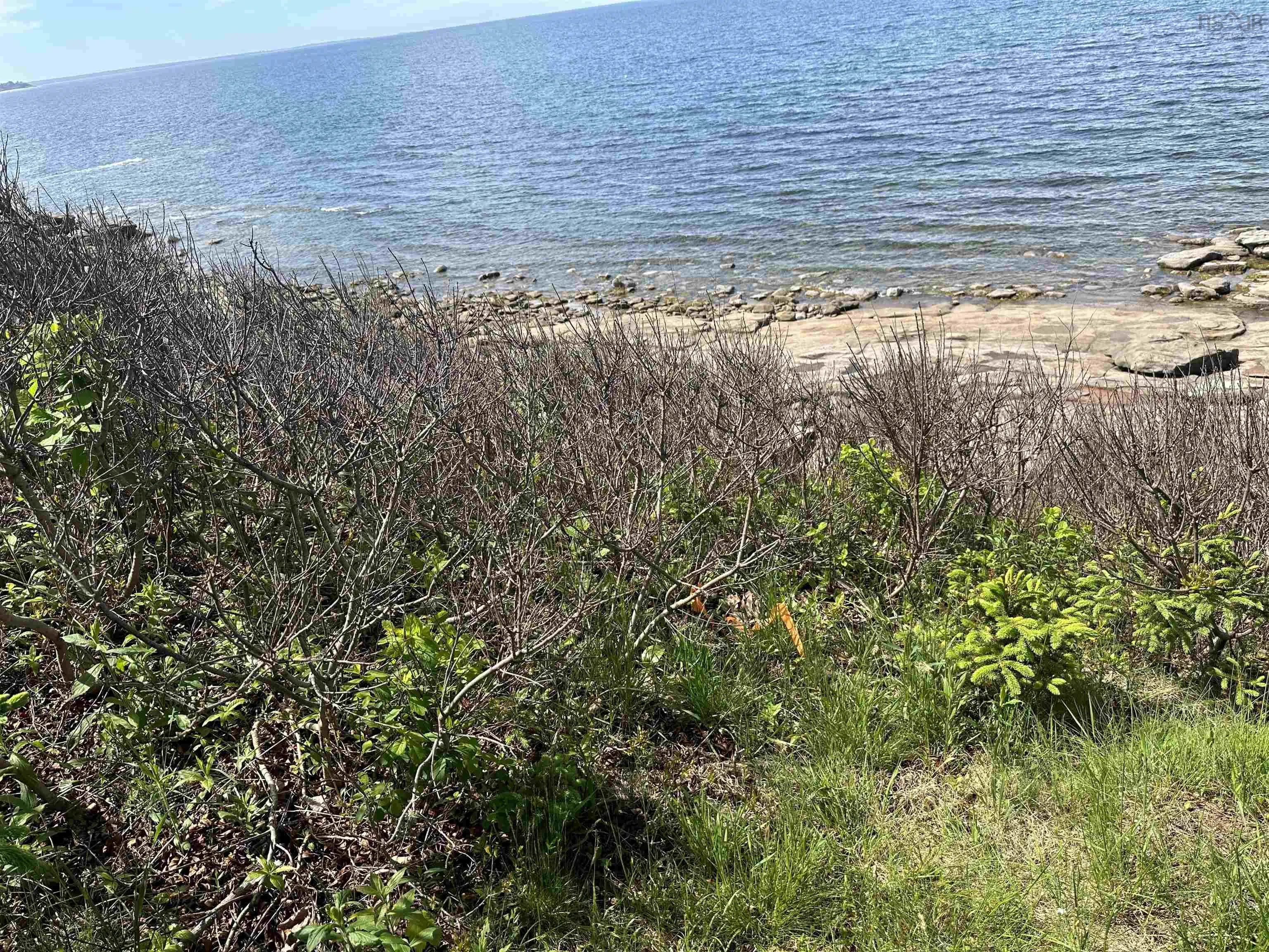 Lot Roys Island, Kings Head, NS B2H 5C5, ,Land,For Sale,Roys,202513542