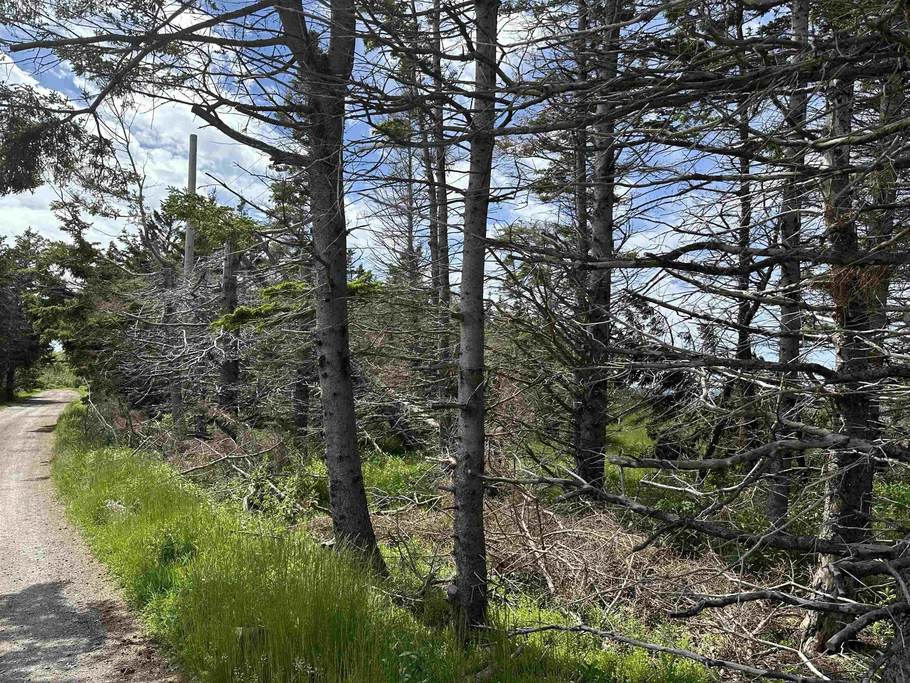 Lot Roys Island, Kings Head, NS B2H 5C5, ,Land,For Sale,Roys,202513542