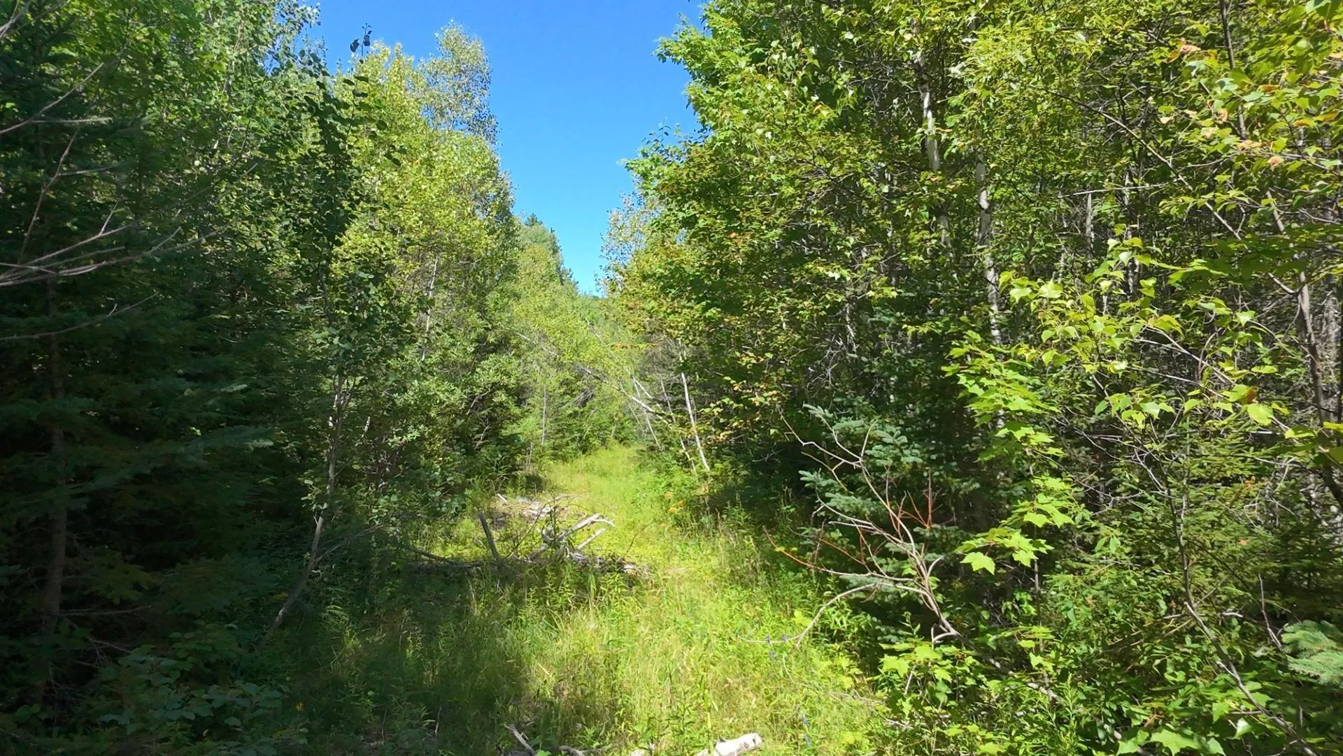 Little Harbour Road, Frasers Mountain Ns B2h 3s9, ,Land,For Sale,Little Harbour,202503385
