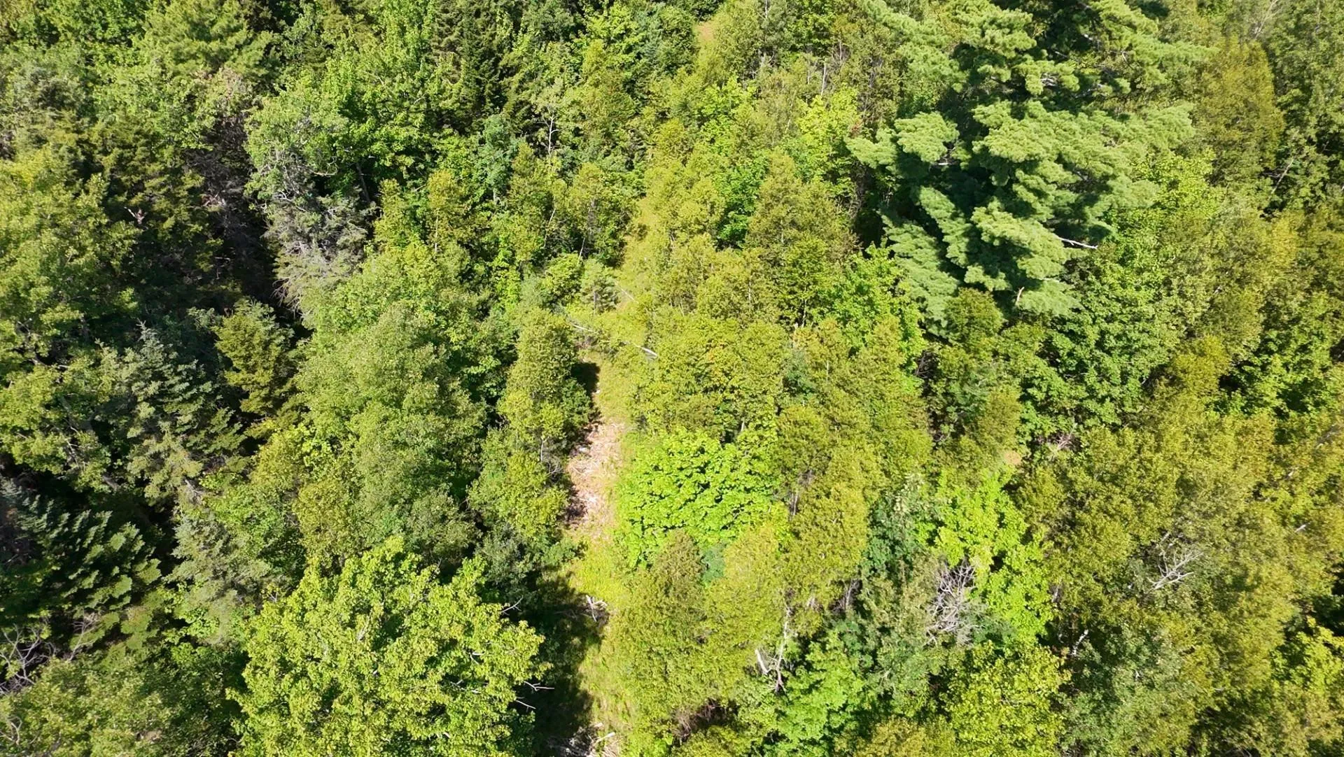 Little Harbour Road, Frasers Mountain Ns B2h 3s9, ,Land,For Sale,Little Harbour,202503385