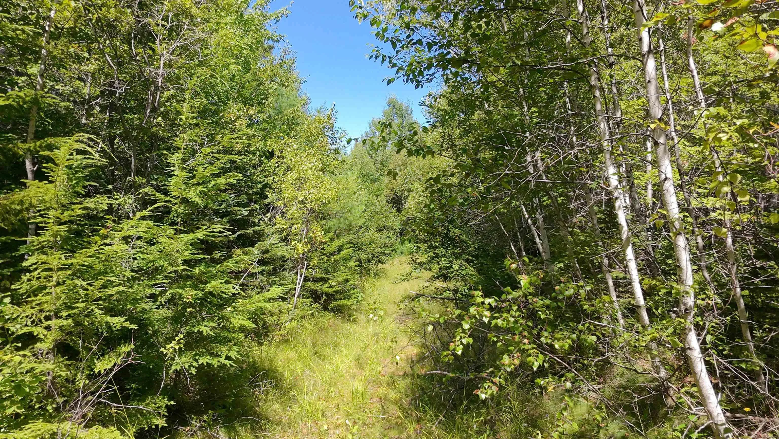 Little Harbour Road, Frasers Mountain Ns B2h 3s9, ,Land,For Sale,Little Harbour,202503385