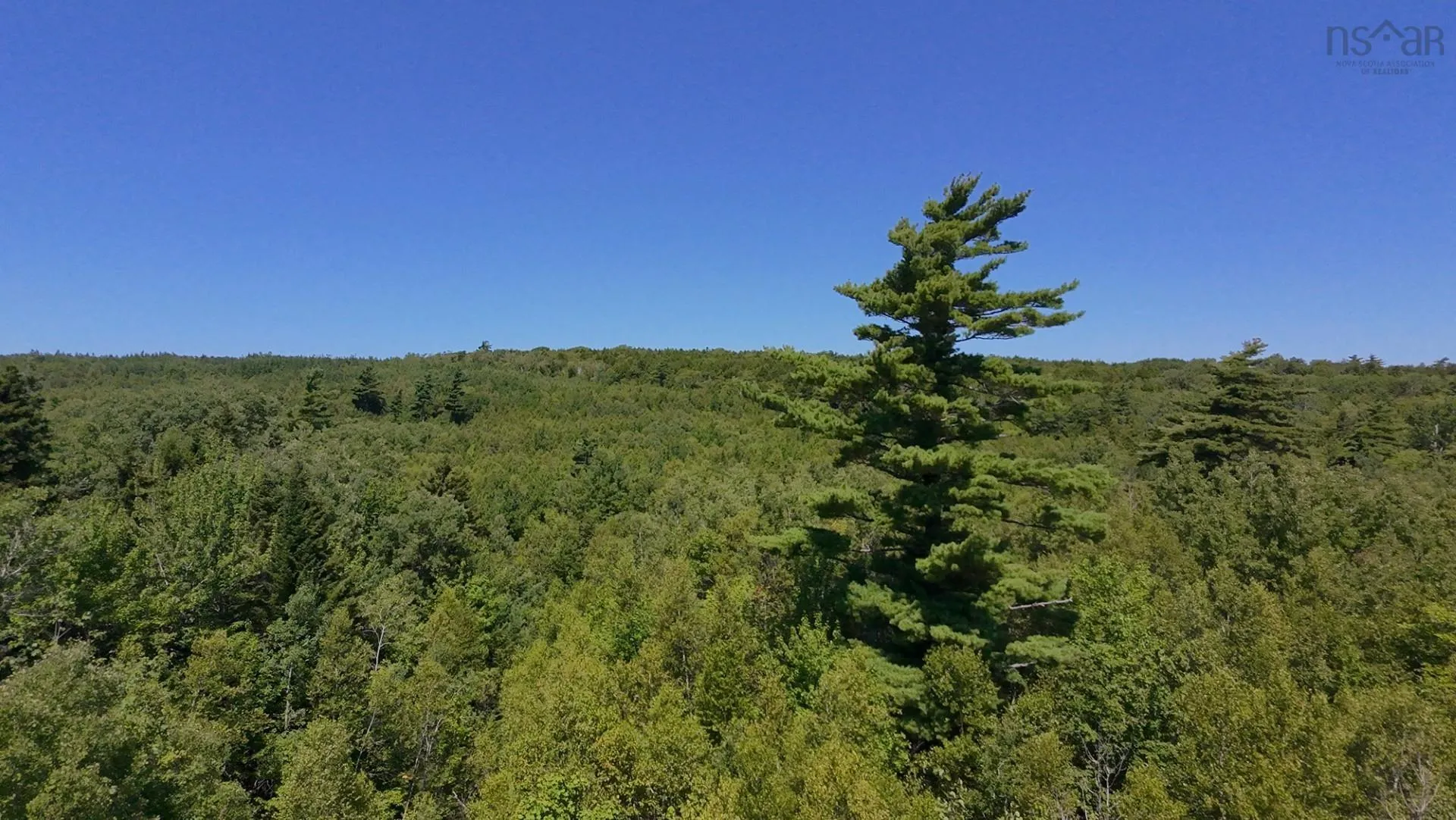 Little Harbour Road, Frasers Mountain Ns B2h 3s9, ,Land,For Sale,Little Harbour,202503385