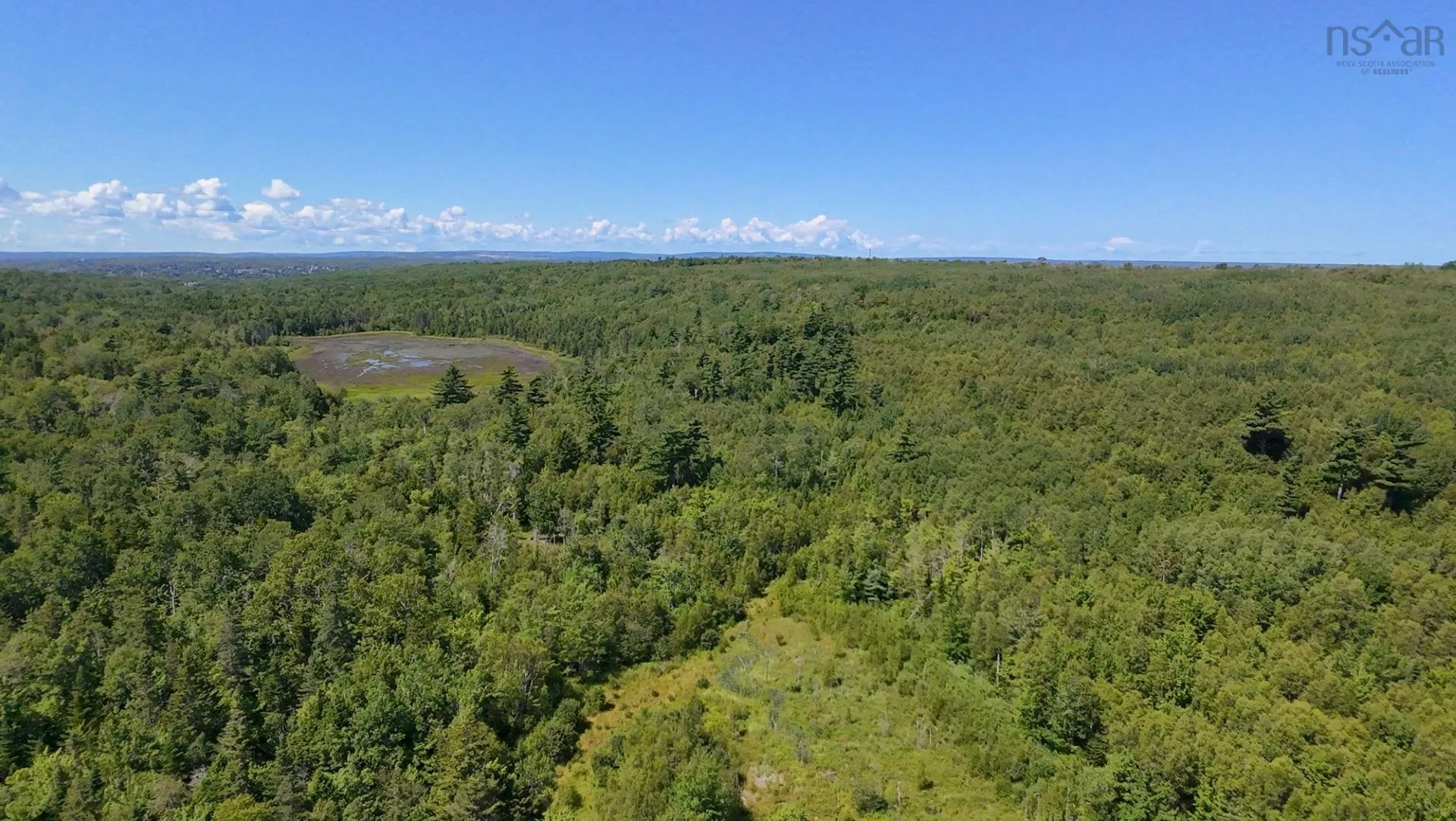 Little Harbour Road, Frasers Mountain Ns B2h 3s9, ,Land,For Sale,Little Harbour,202503385