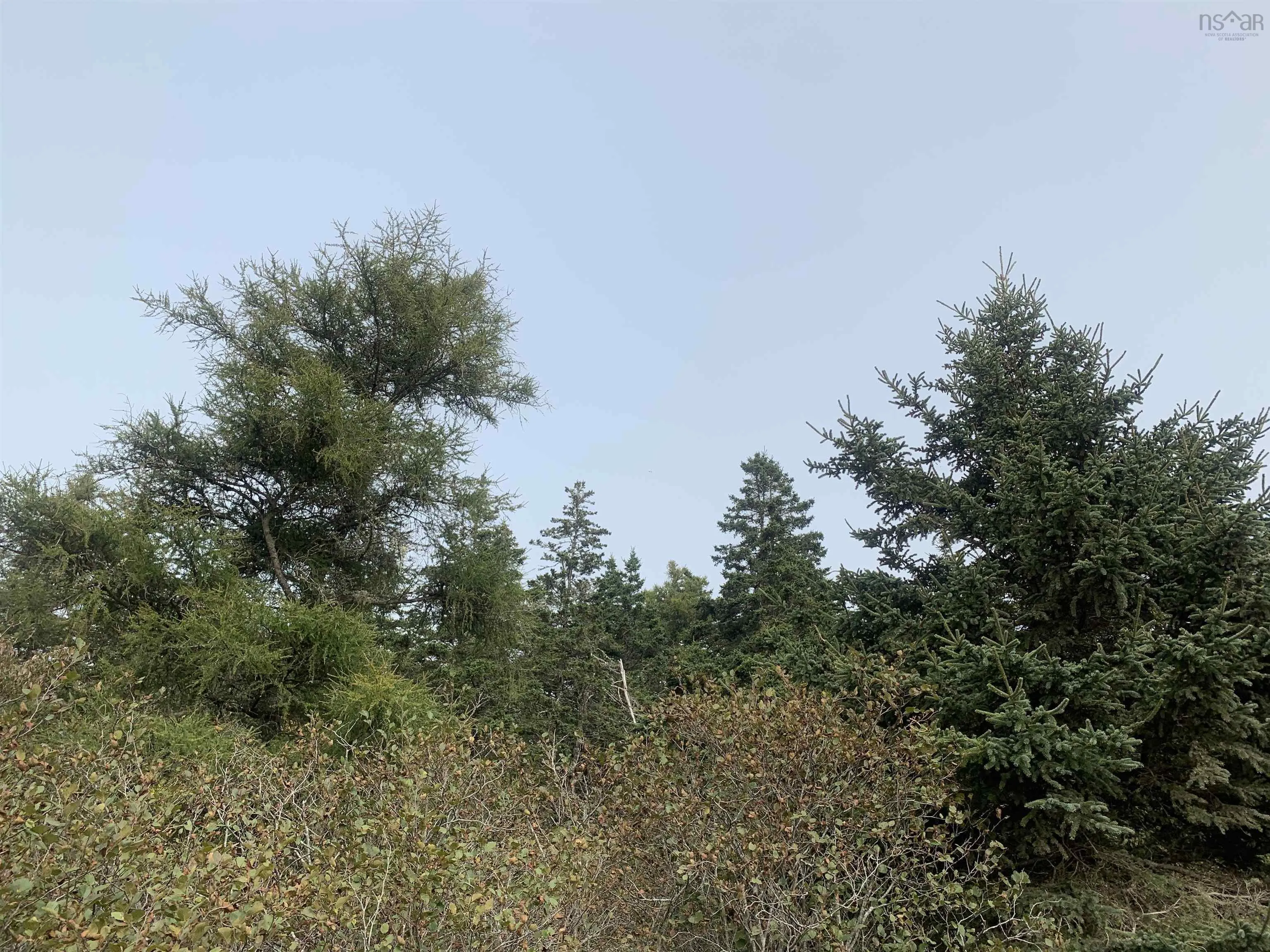 Leblanc Branch Road Lot C, Mavillette Ns B5a 5b3, ,Land,For Sale,Leblanc Branch,202415620