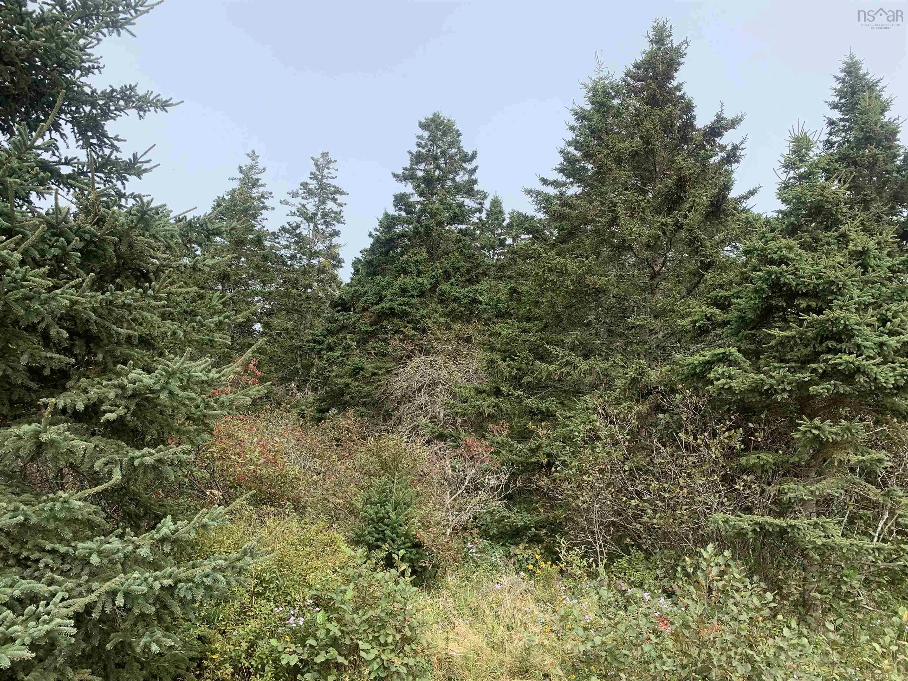 Leblanc Branch Road Lot C, Mavillette Ns B5a 5b3, ,Land,For Sale,Leblanc Branch,202415620
