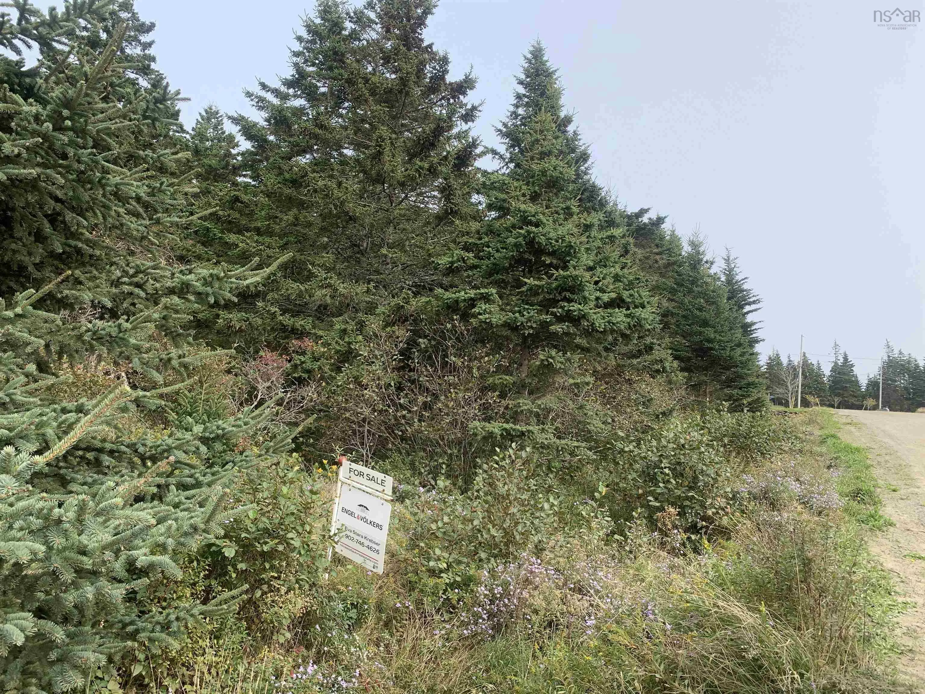 Leblanc Branch Road Lot C, Mavillette Ns B5a 5b3, ,Land,For Sale,Leblanc Branch,202415620
