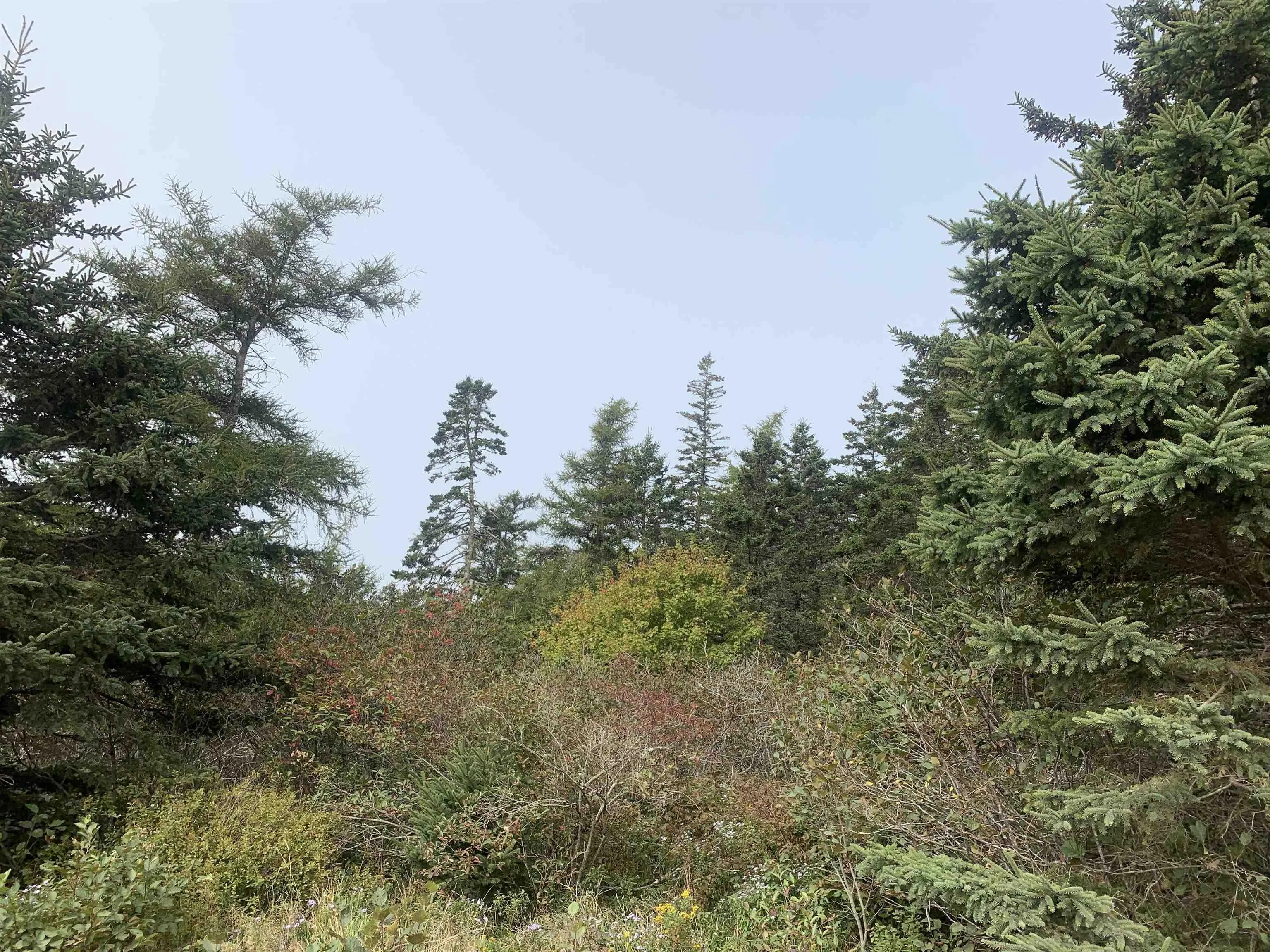Leblanc Branch Road Lot C, Mavillette Ns B5a 5b3, ,Land,For Sale,Leblanc Branch,202415620