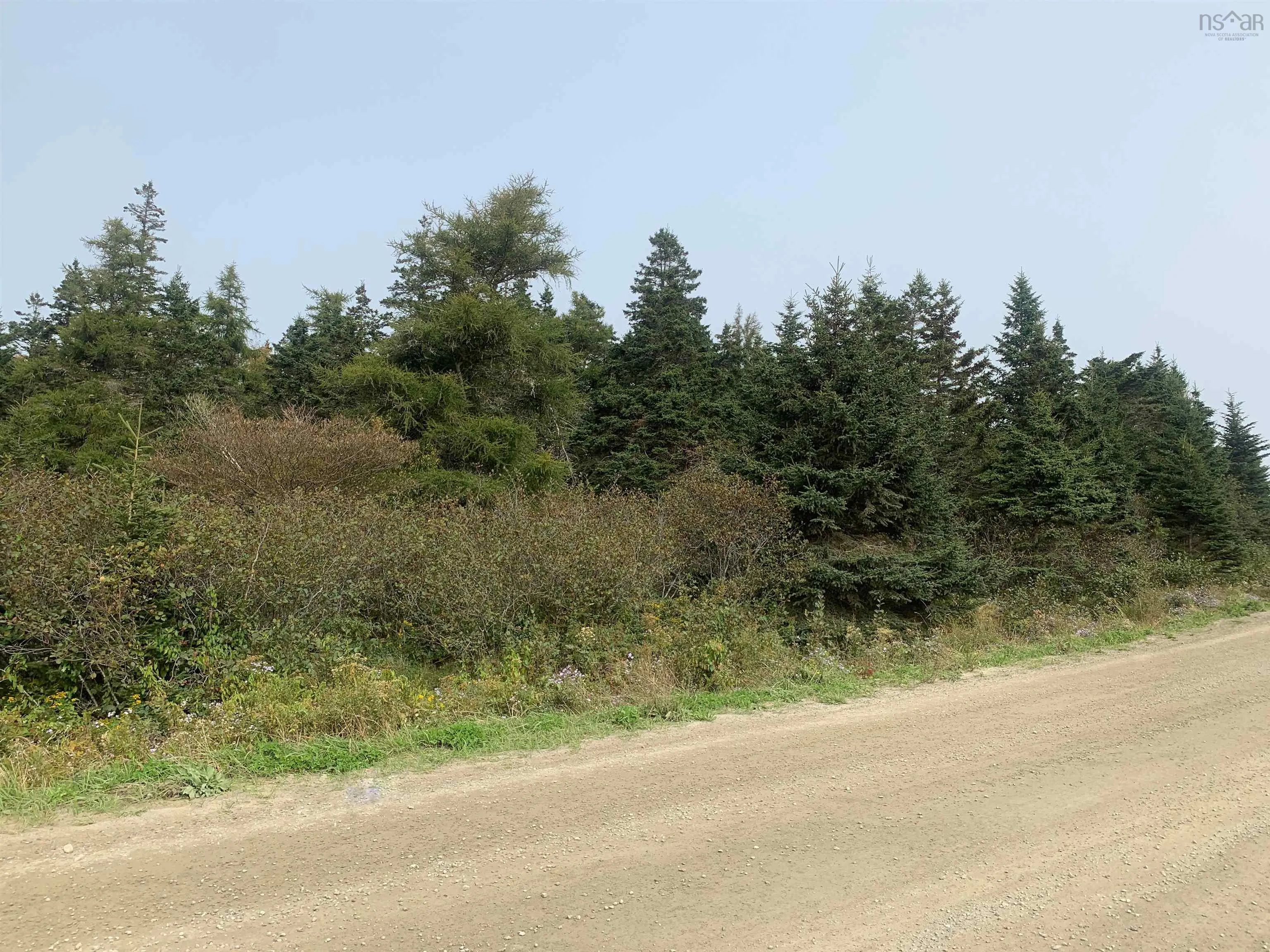 Leblanc Branch Road Lot C, Mavillette Ns B5a 5b3, ,Land,For Sale,Leblanc Branch,202415620