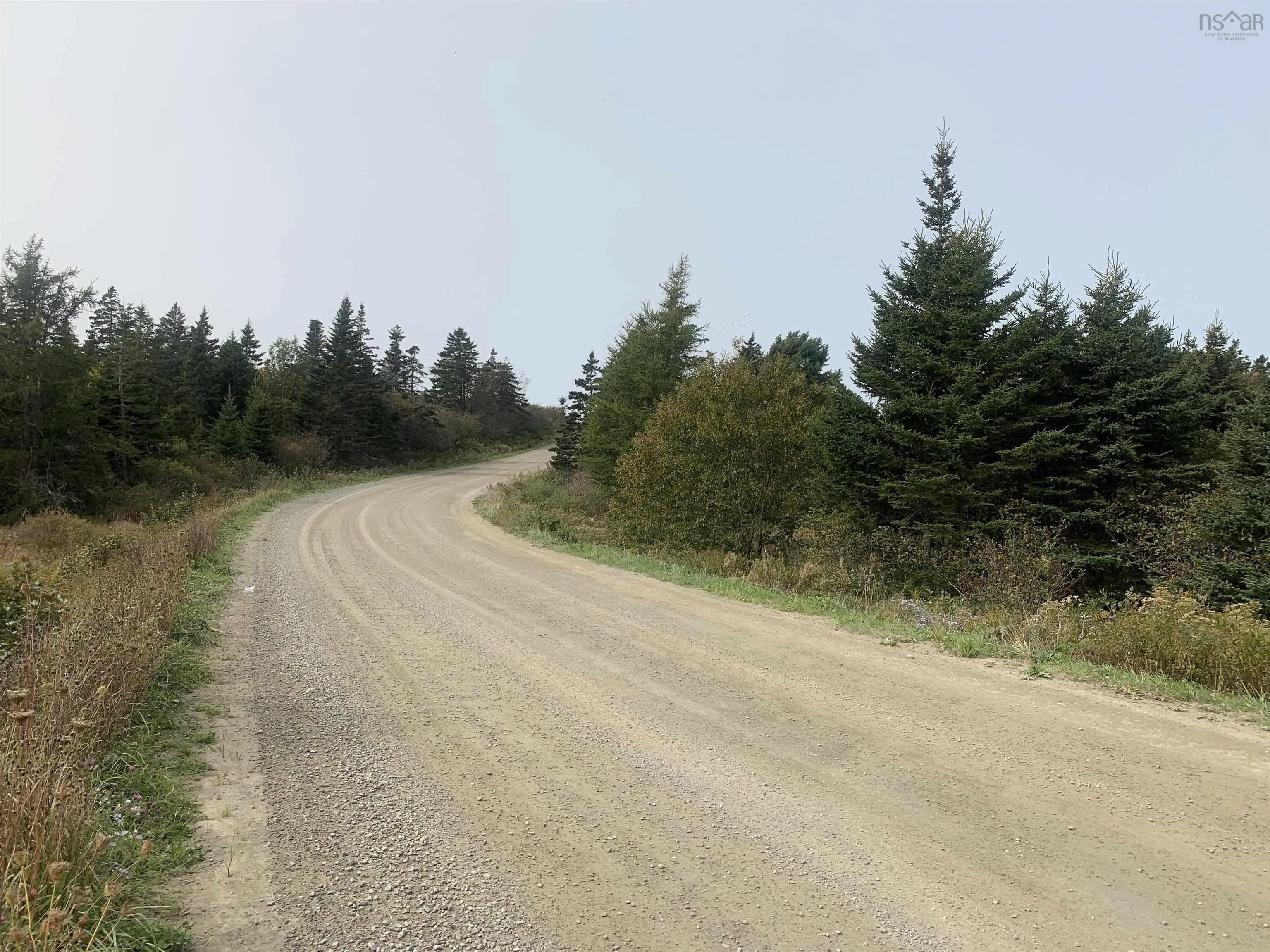 Leblanc Branch Road Lot C, Mavillette Ns B5a 5b3, ,Land,For Sale,Leblanc Branch,202415620