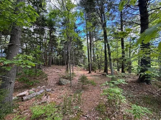15 Cottage Lane, Windsor Junction Ns B2t 1g7, ,Land,For Sale,Cottage,202412770