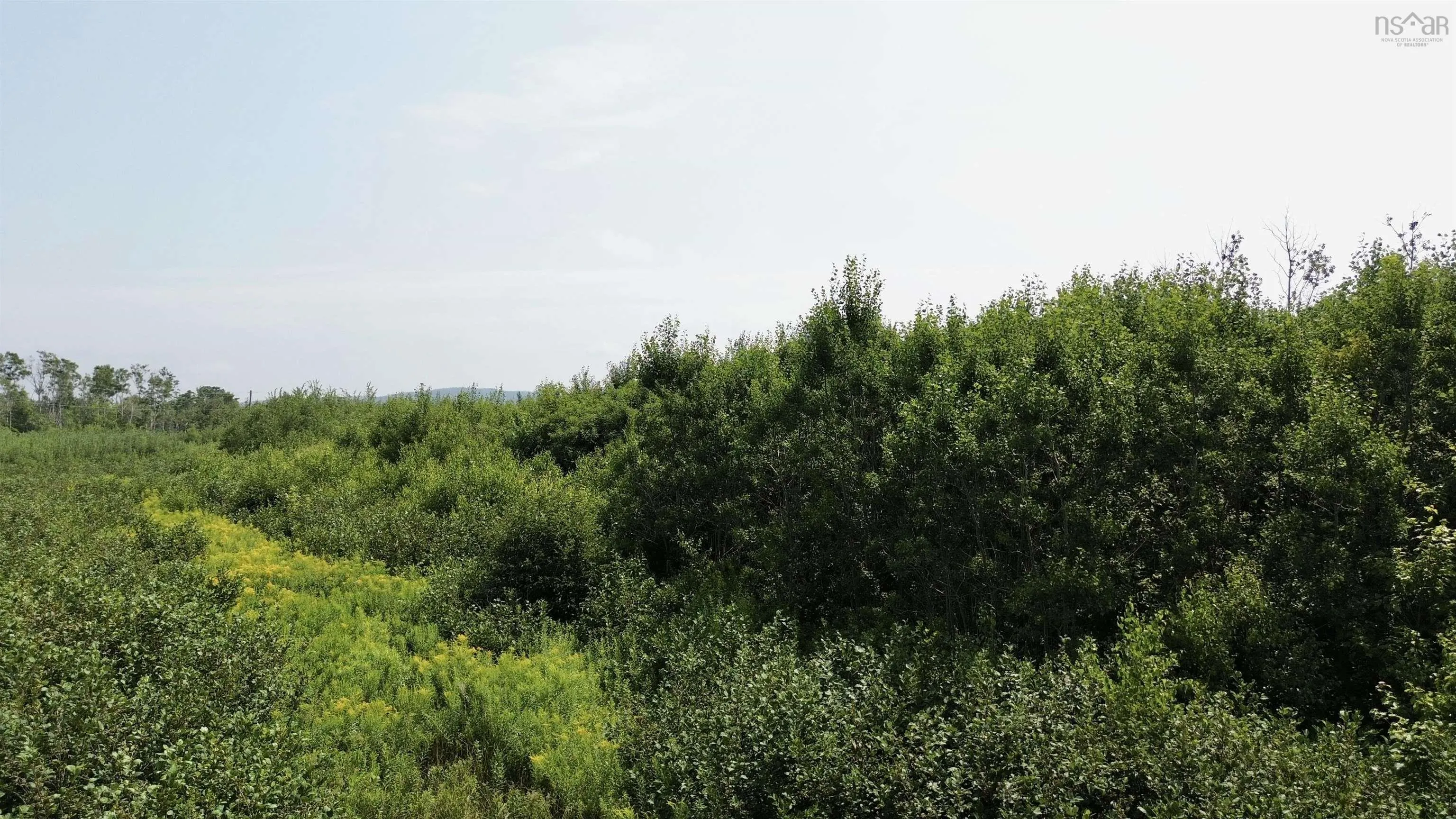 Lot 11 Red Rock Way Road, Lismore, NS B0K 1G0, ,Land,For Sale,Red Rock Way,202519167