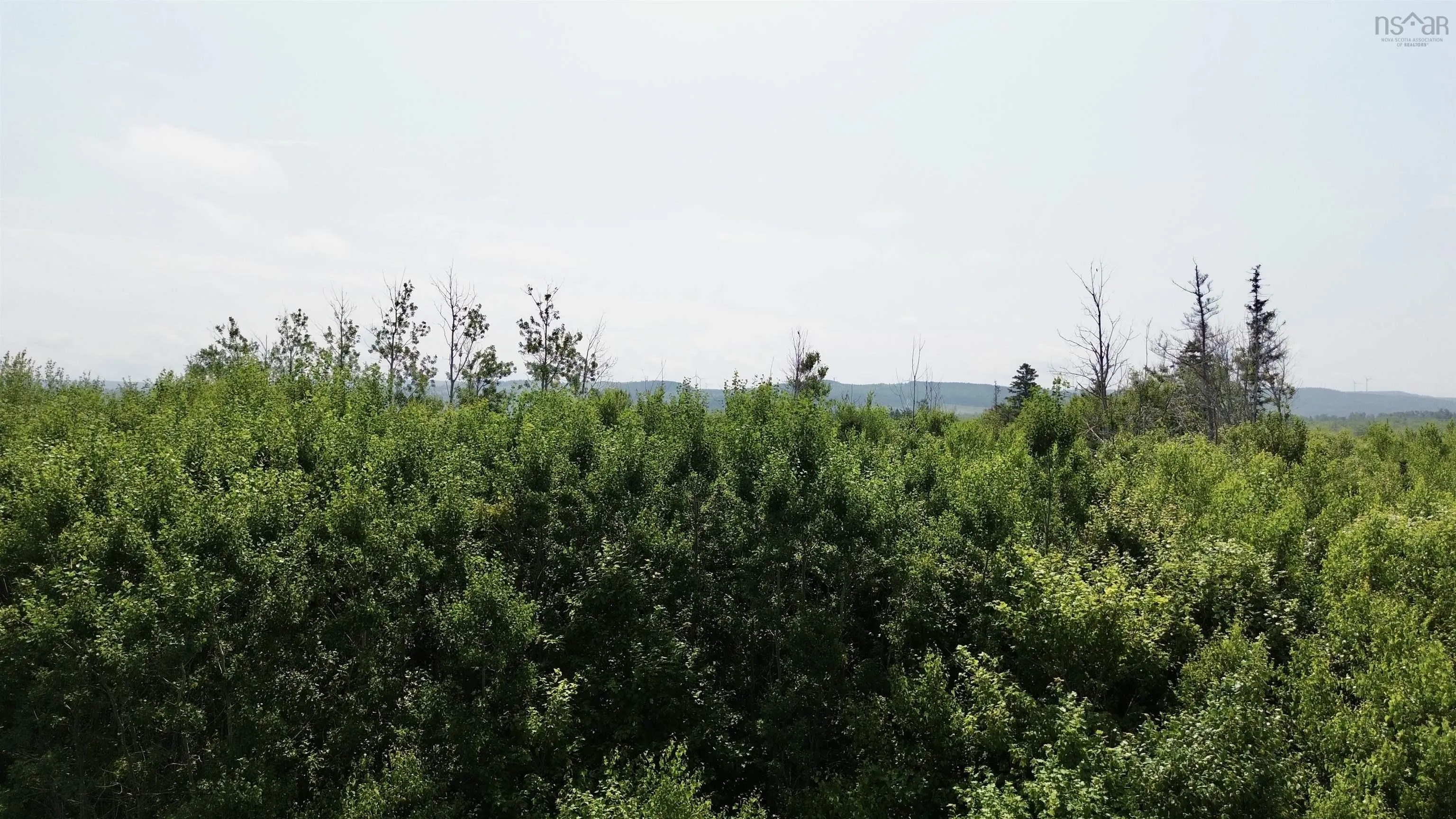 Lot 11 Red Rock Way Road, Lismore, NS B0K 1G0, ,Land,For Sale,Red Rock Way,202519167