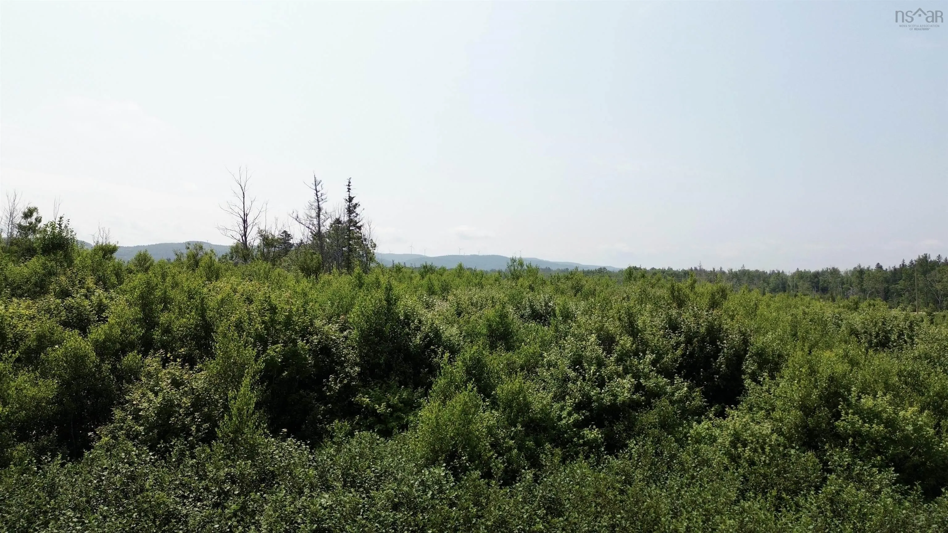 Lot 11 Red Rock Way Road, Lismore, NS B0K 1G0, ,Land,For Sale,Red Rock Way,202519167